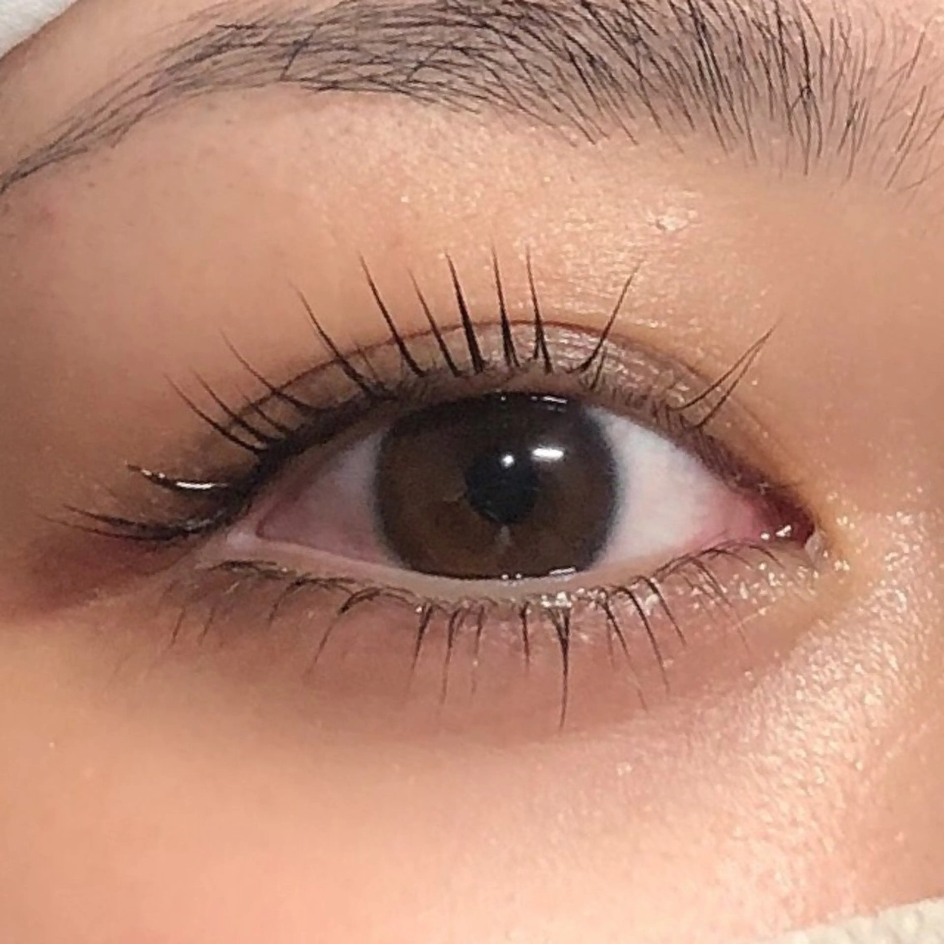 まつ毛パーマ(下)逆さまつ毛の方やまつ毛の長い方ぜひパーマで目力あげましょう(^o^)の写真