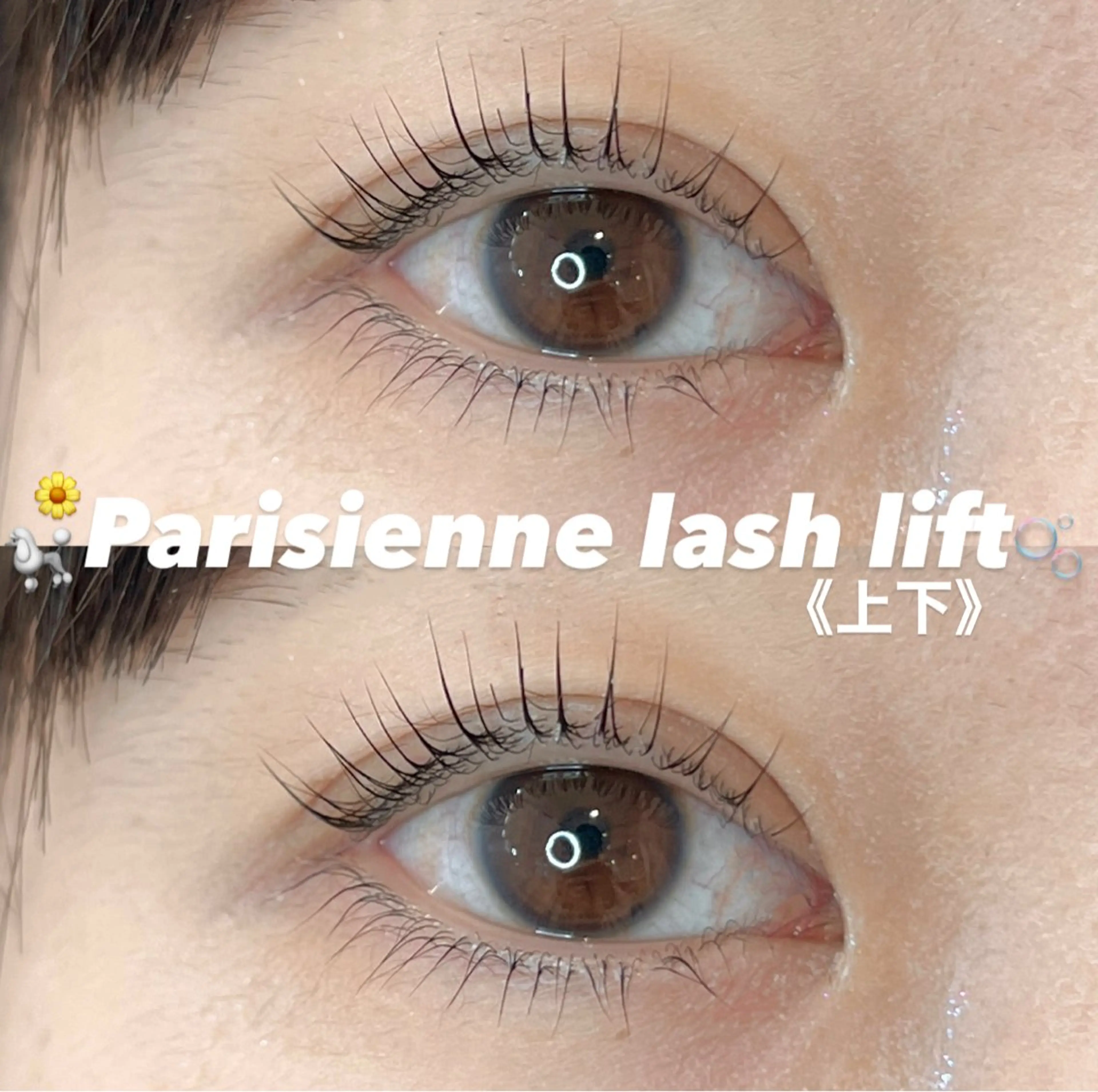 ãããšã¯ã»ããã ããªãžã§ã³ãã©ãã·ã¥ãªãã ãŸã€ãããŒã äžãŸã€ããšã¯ã¹ã eyelist ayakaðšã®ãããšã¯ã»ããããã¶ã€ã³