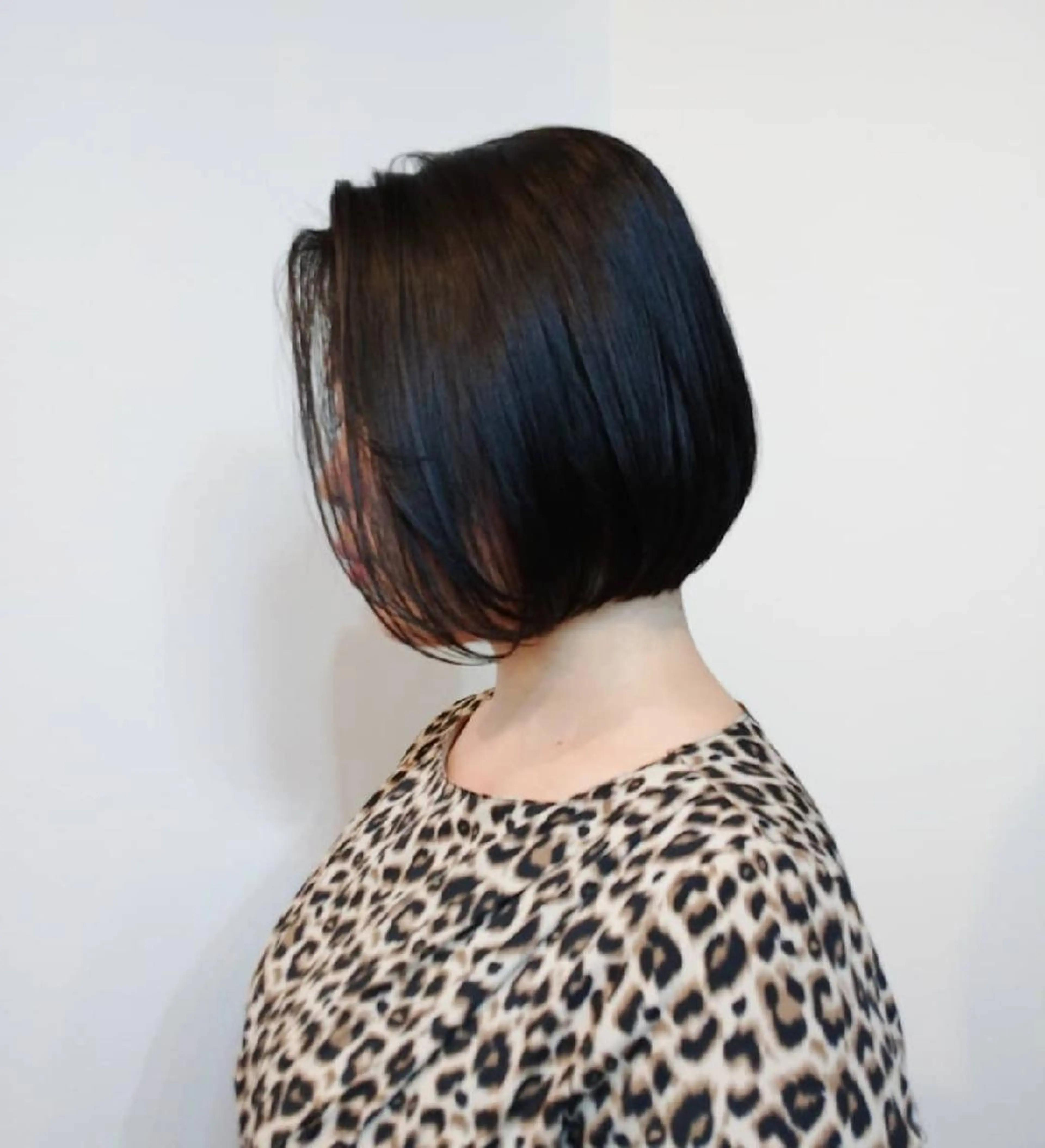 カット×3stepハホニコ TRの写真