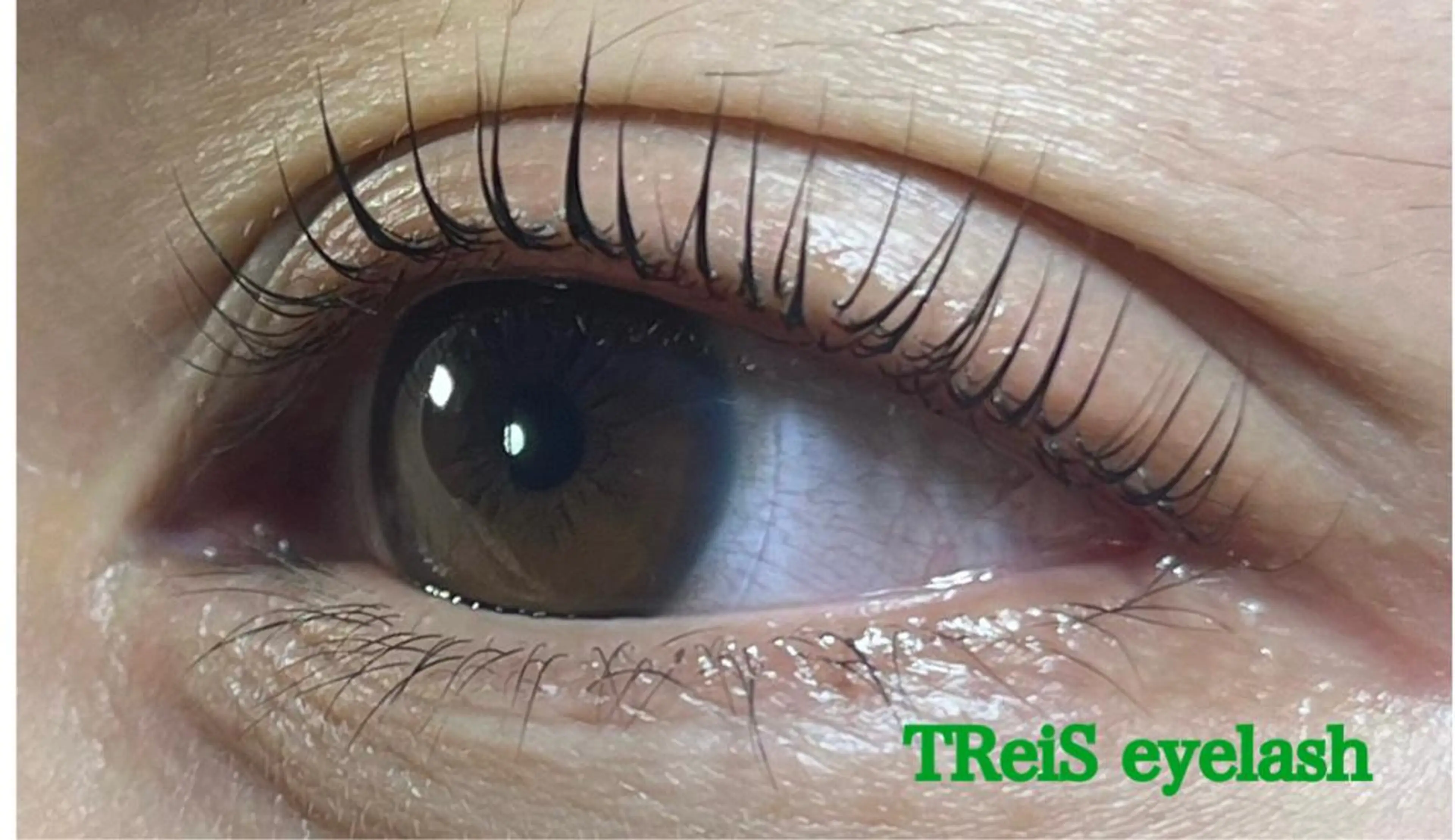 マツエク・マツパ TReiS所属・TReiS eyelashのマツエク・マツパデザイン