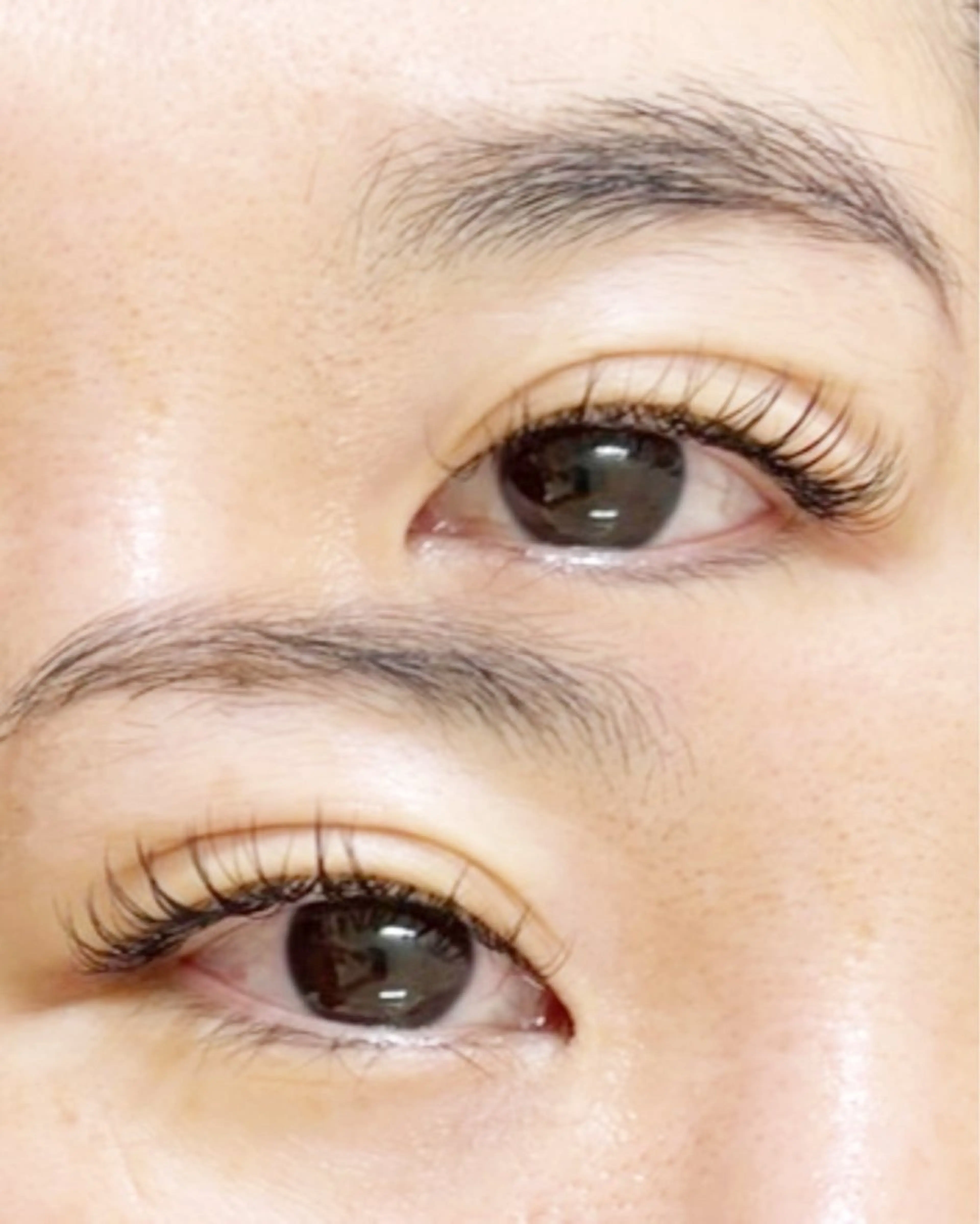 マツエク・マツパ Dカール ナチュラル マツエク eyelashsalon   elu+所属・elu+ yuunaのマツエク・マツパデザイン