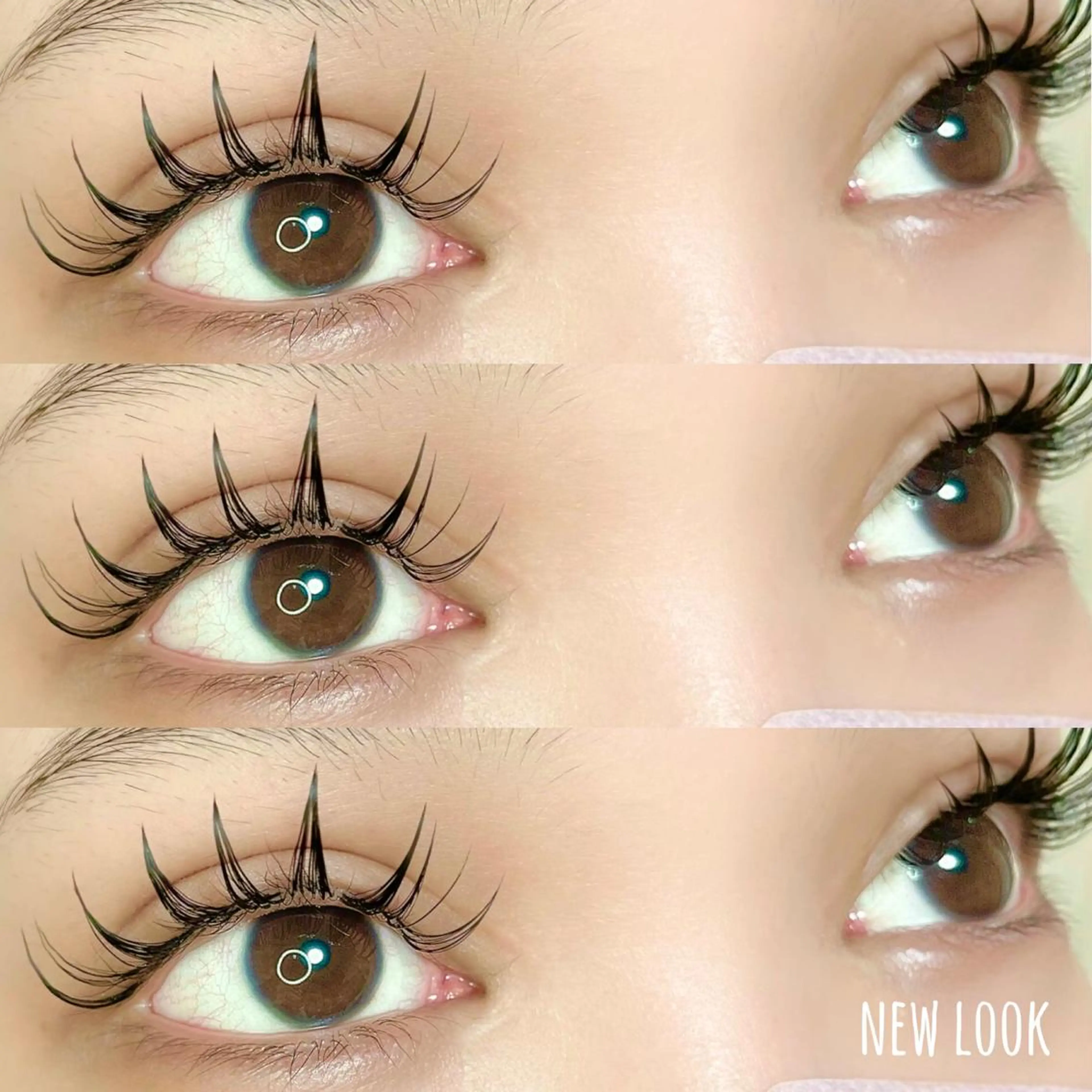 マツエク・マツパ マツエク NEW LOOKのマツエク・マツパデザイン