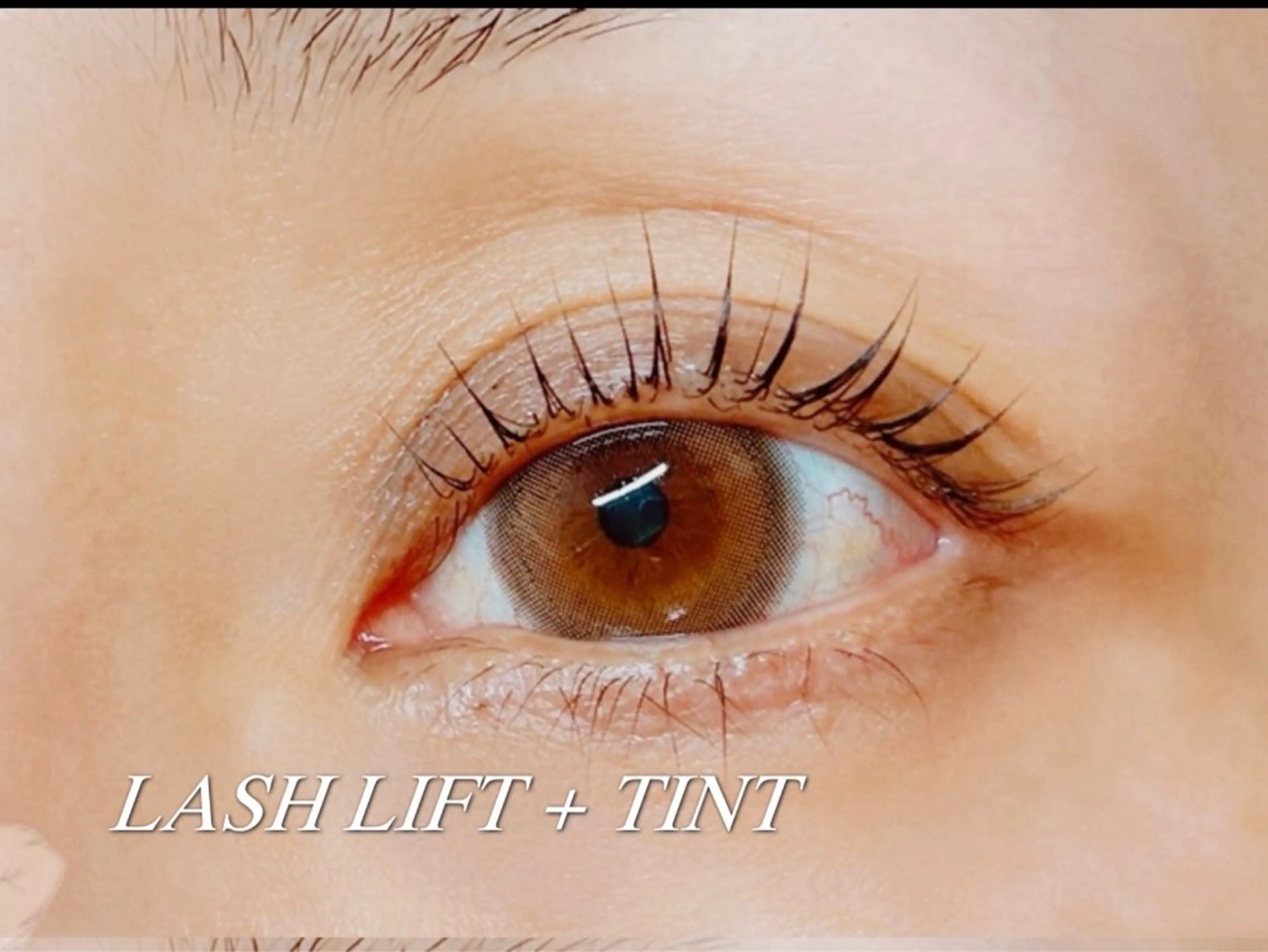 【ミニモ学割👩‍🎓】韓国マスカラパーマ➕トリートメントの写真