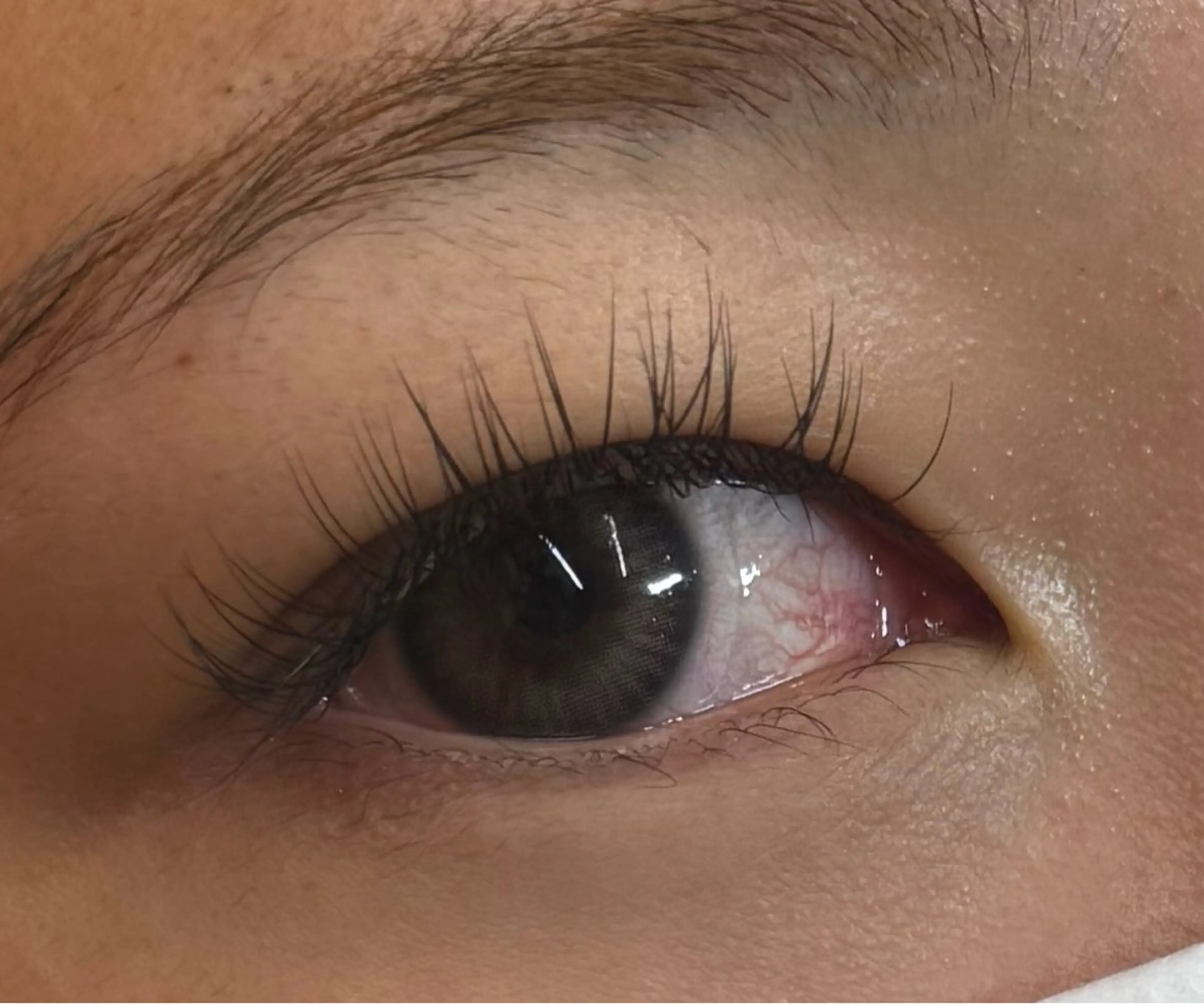 マツエク・マツパ フラットラッシュ You Sawadaの眉毛・アイブロウイメージ