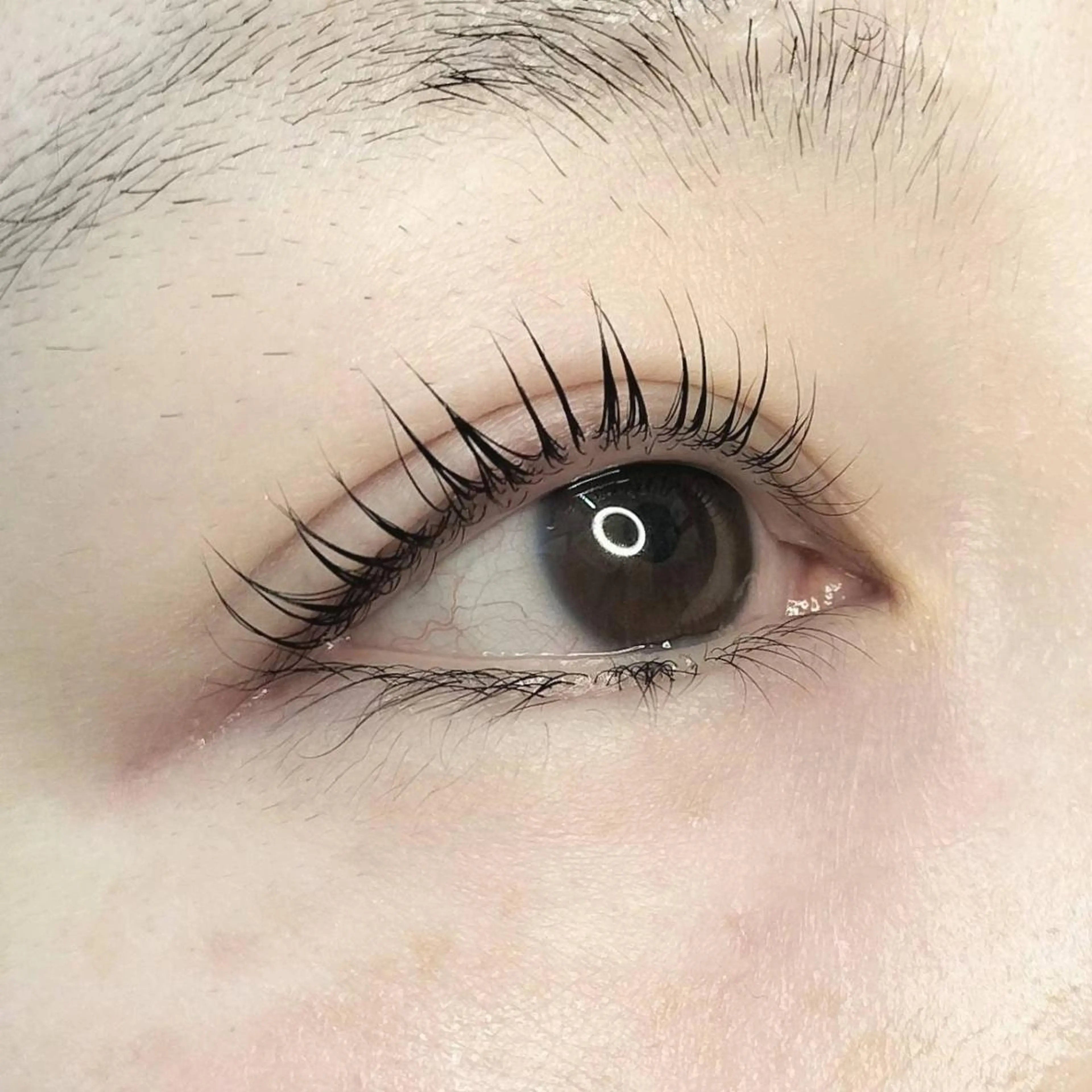 ラッシュリフト🌼まつげを自然に立ち上げたい方の写真