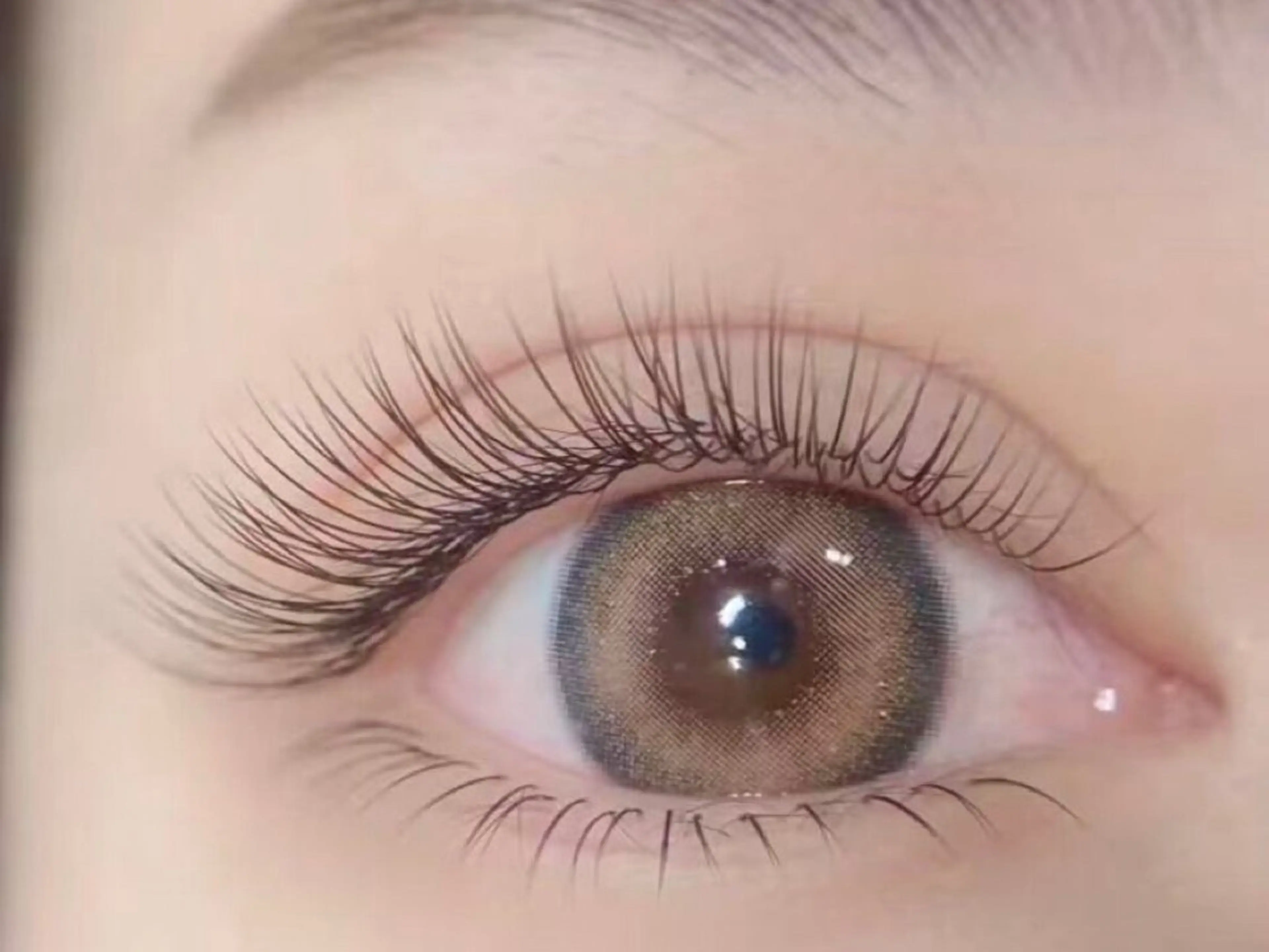 持続力UP!LED付きフラットラッシュ 100本 ¥4980の写真