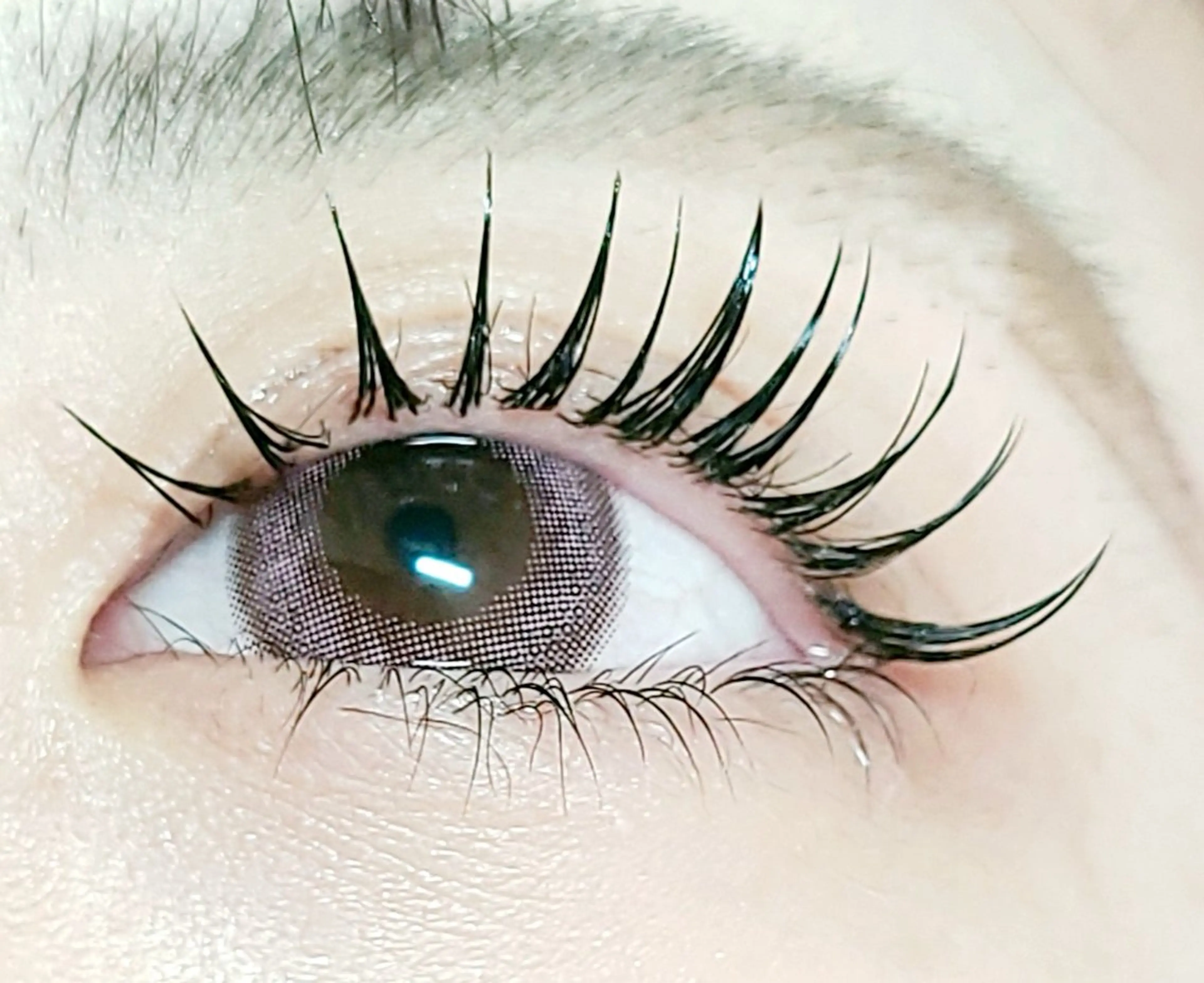 &healthy アンドヘルシーの写真