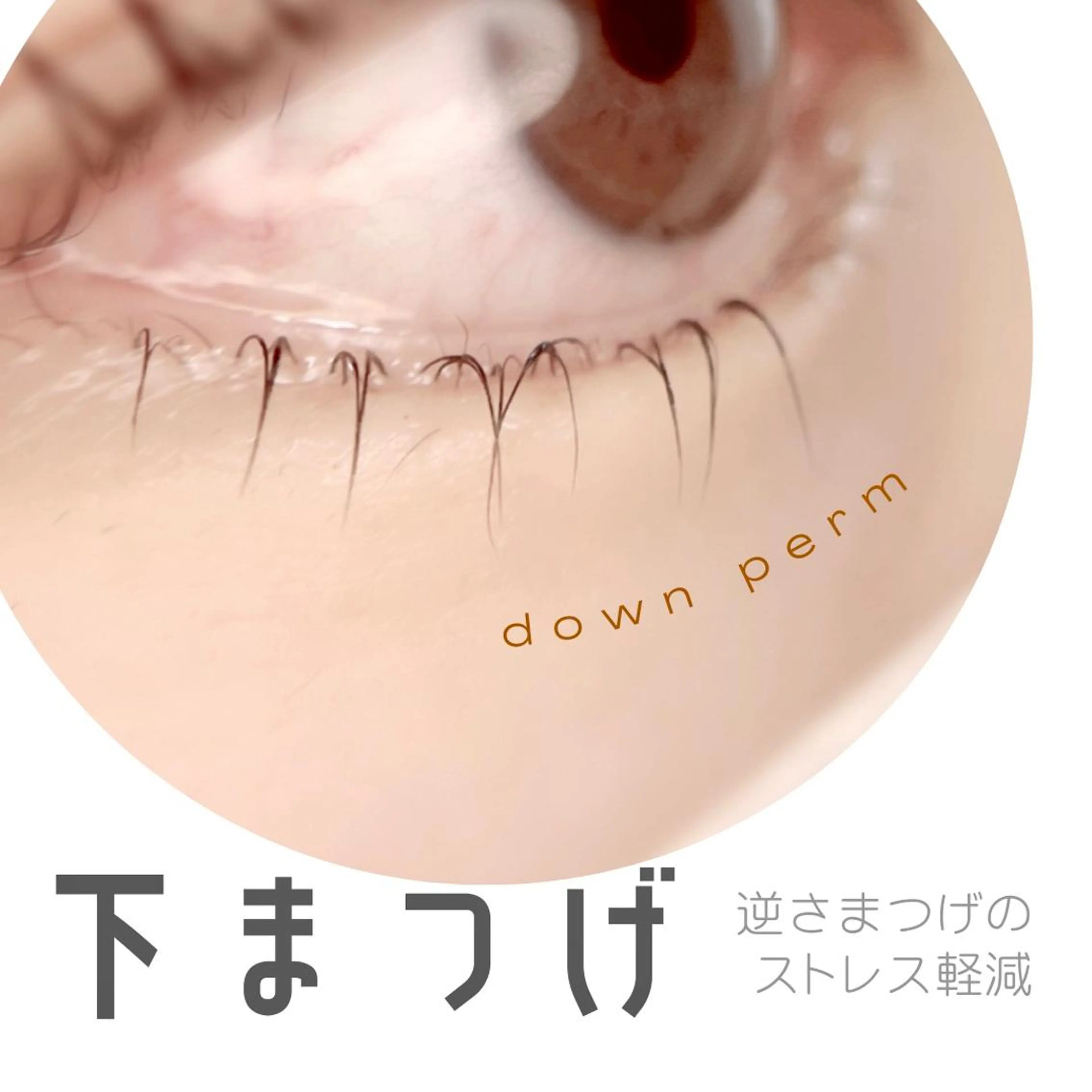 マツエク・マツパ 束感マツエクが人気✩ sachiのマツエク・マツパデザイン