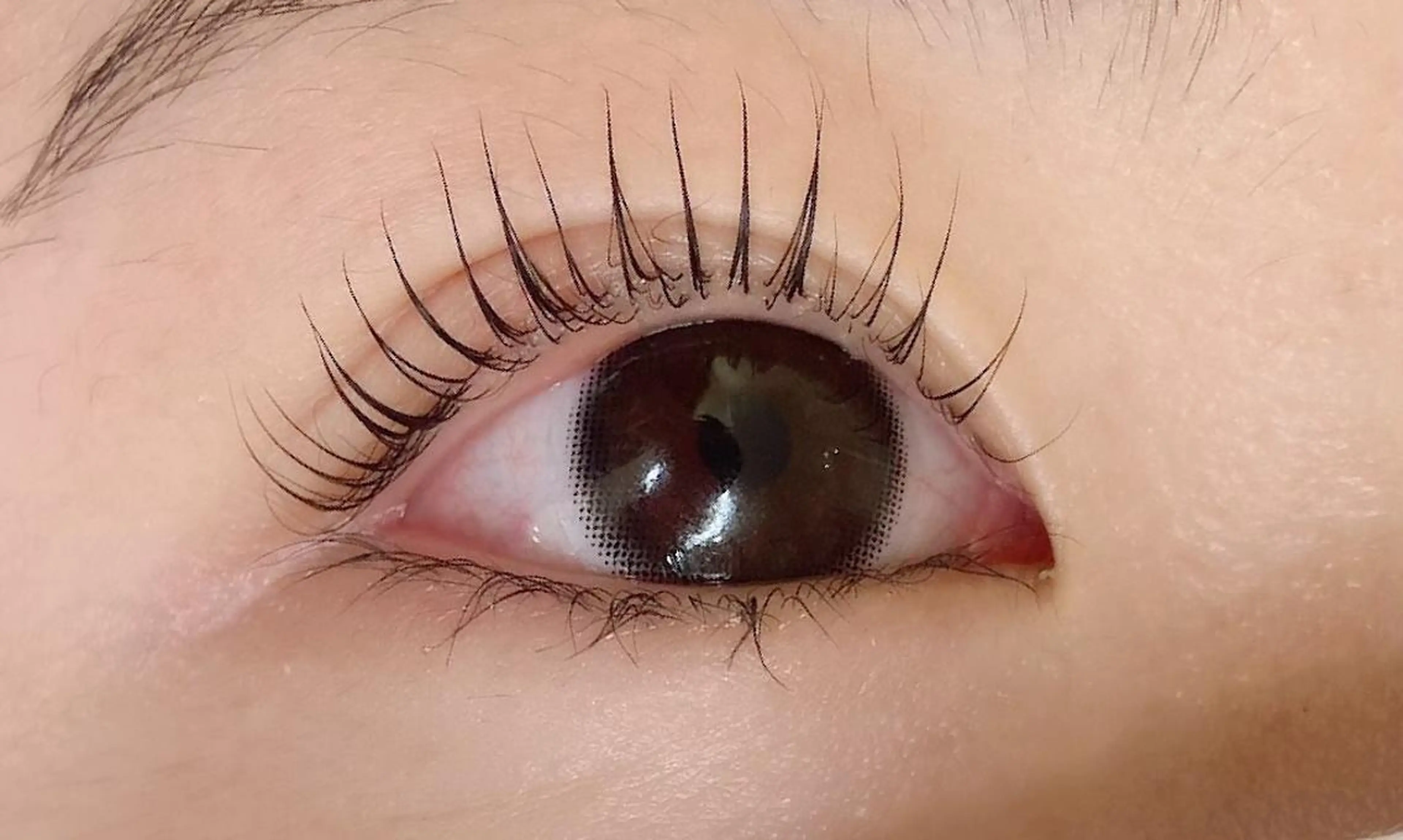 マツエク・マツパ パリジェンヌラッシュリフト RoseLash【青山一丁目徒歩1分】表参道所属・パリジェンヌ/まつパ RoseLashのマツエク・マツパデザイン