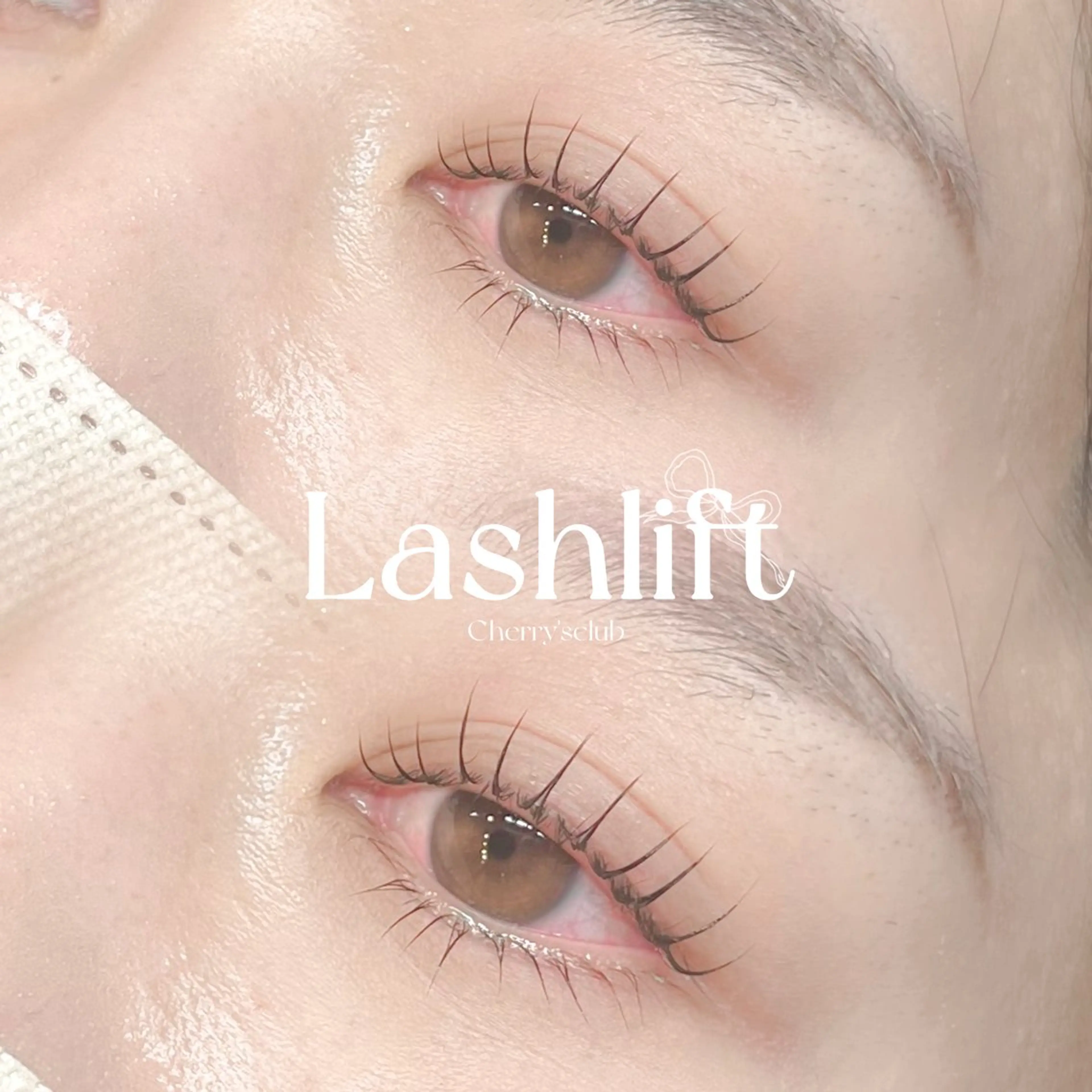 🩵まつ毛パーマ上下🐬の写真