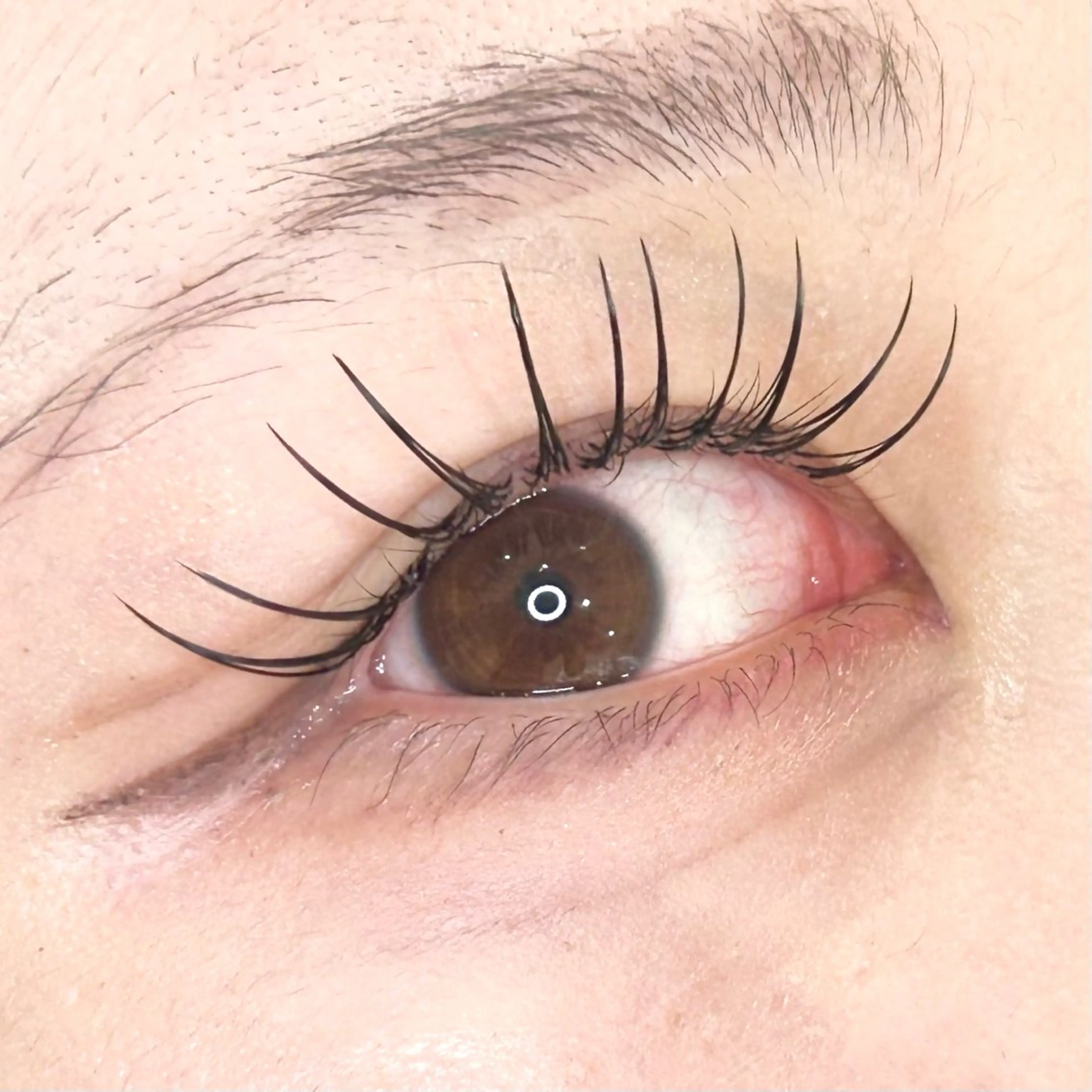 マツエク・マツパ Dカール フラットラッシュ マツエク bunny eyes 加藤のマツエク・マツパデザイン