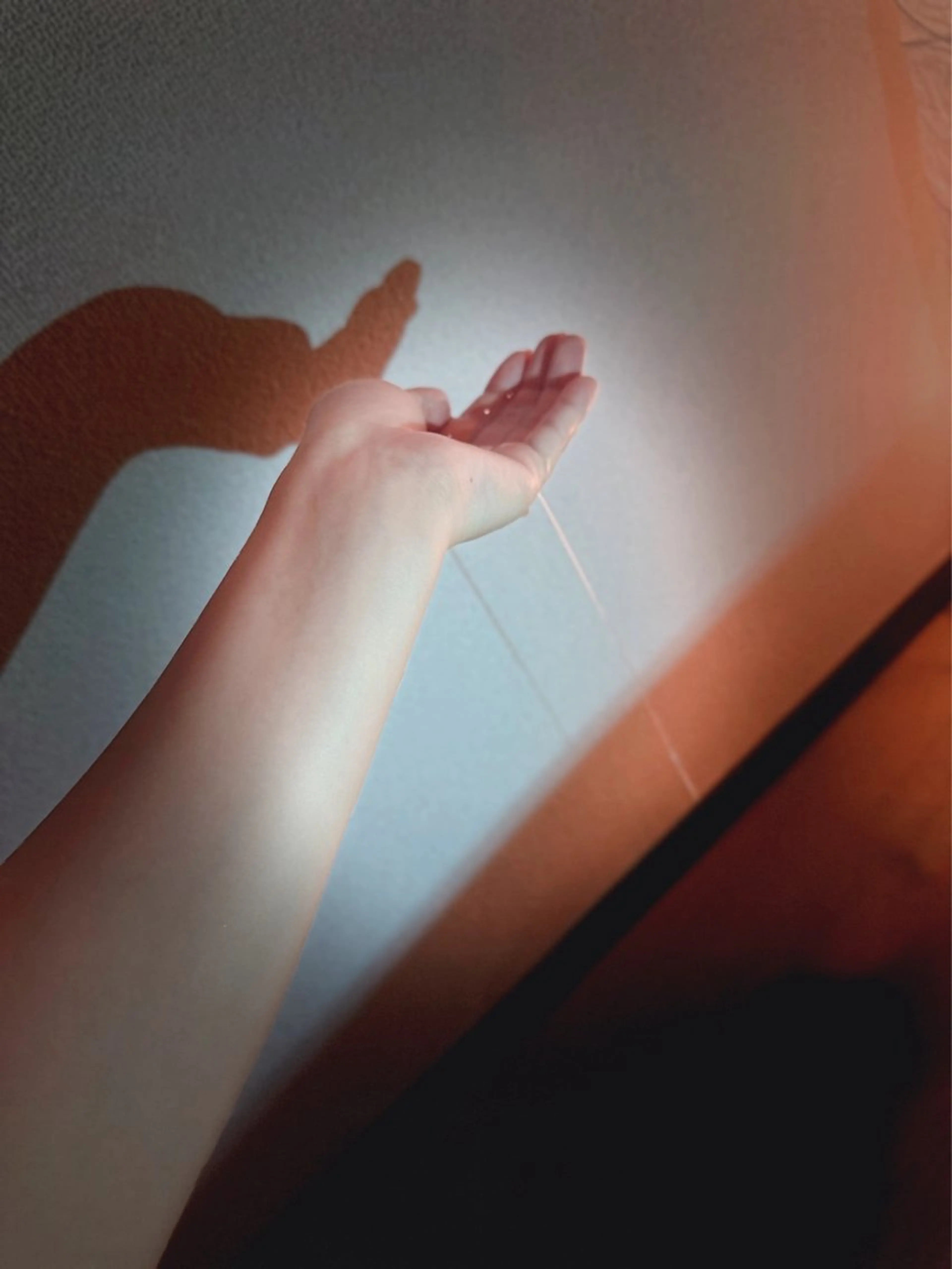 ミニモ限定のお試し価格！！採算度外視のオイルトリートメント60分4,000円でお試し頂けます☺️の写真