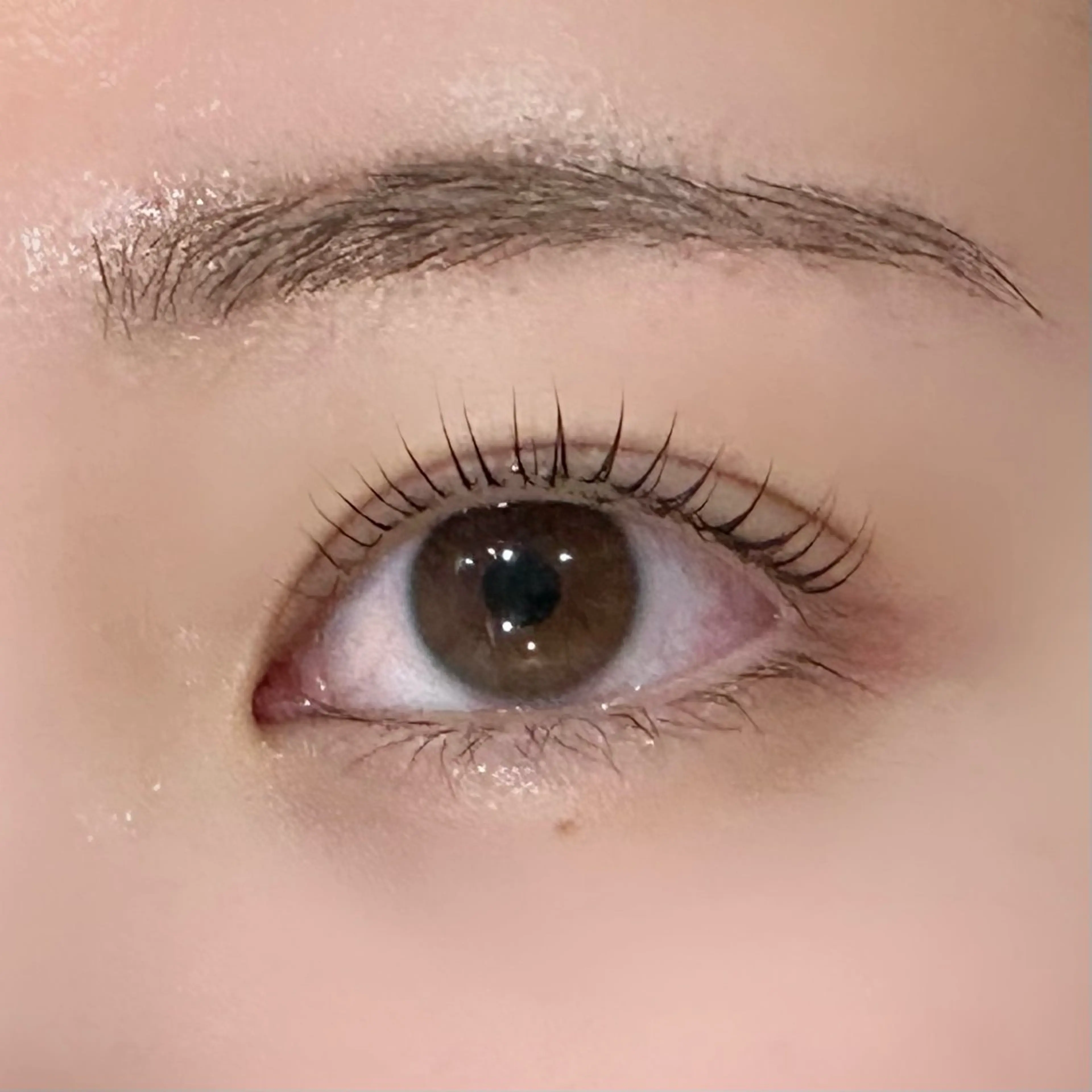 マツエク・マツパ Cカール Lカール パリジェンヌラッシュリフト 一重×まつ毛パーマ eyelash Zen　manakaのマツエク・マツパデザイン