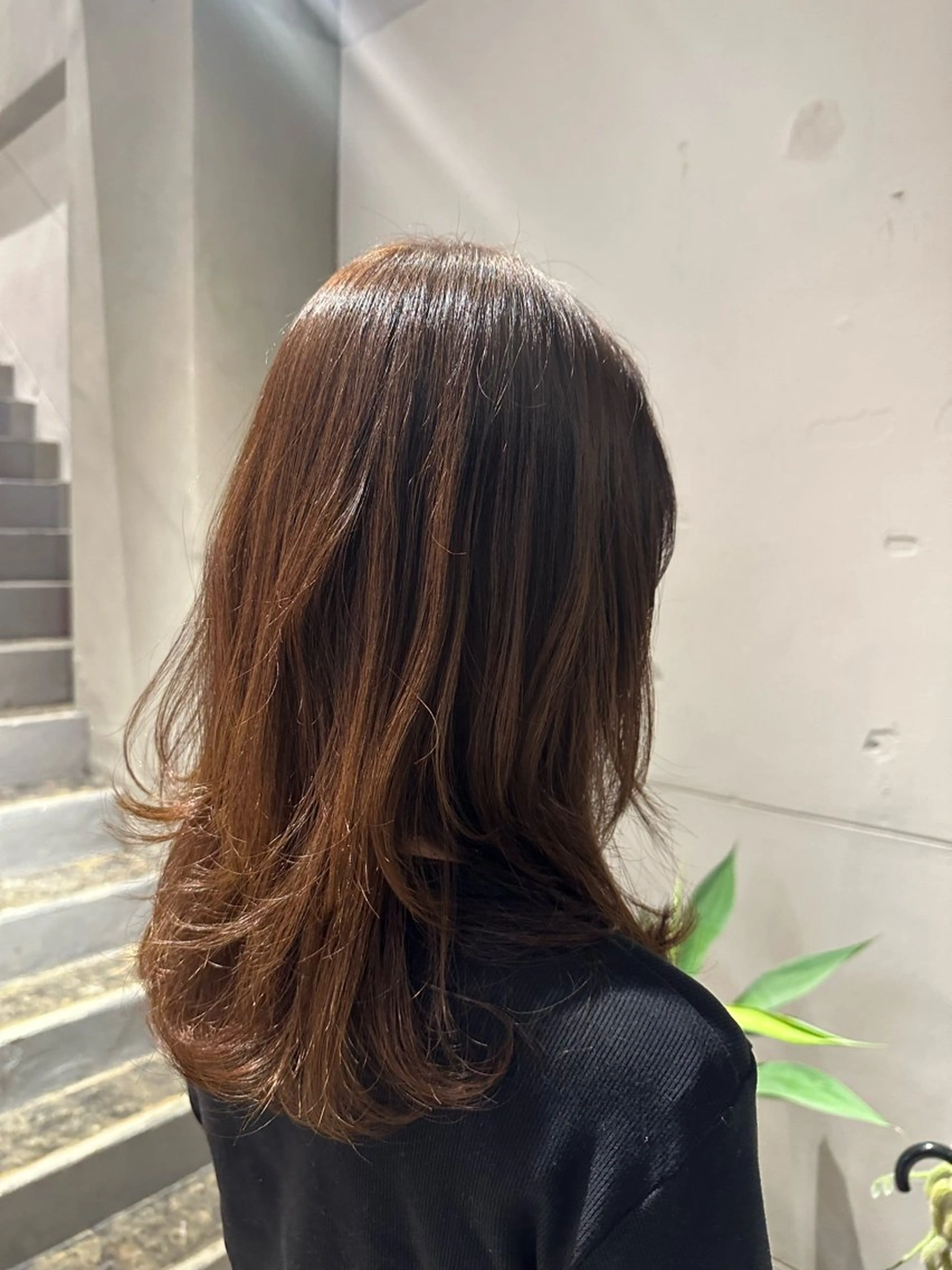 セミロング ナチュラルカラー /カット/藤井美冬のヘアスタイル