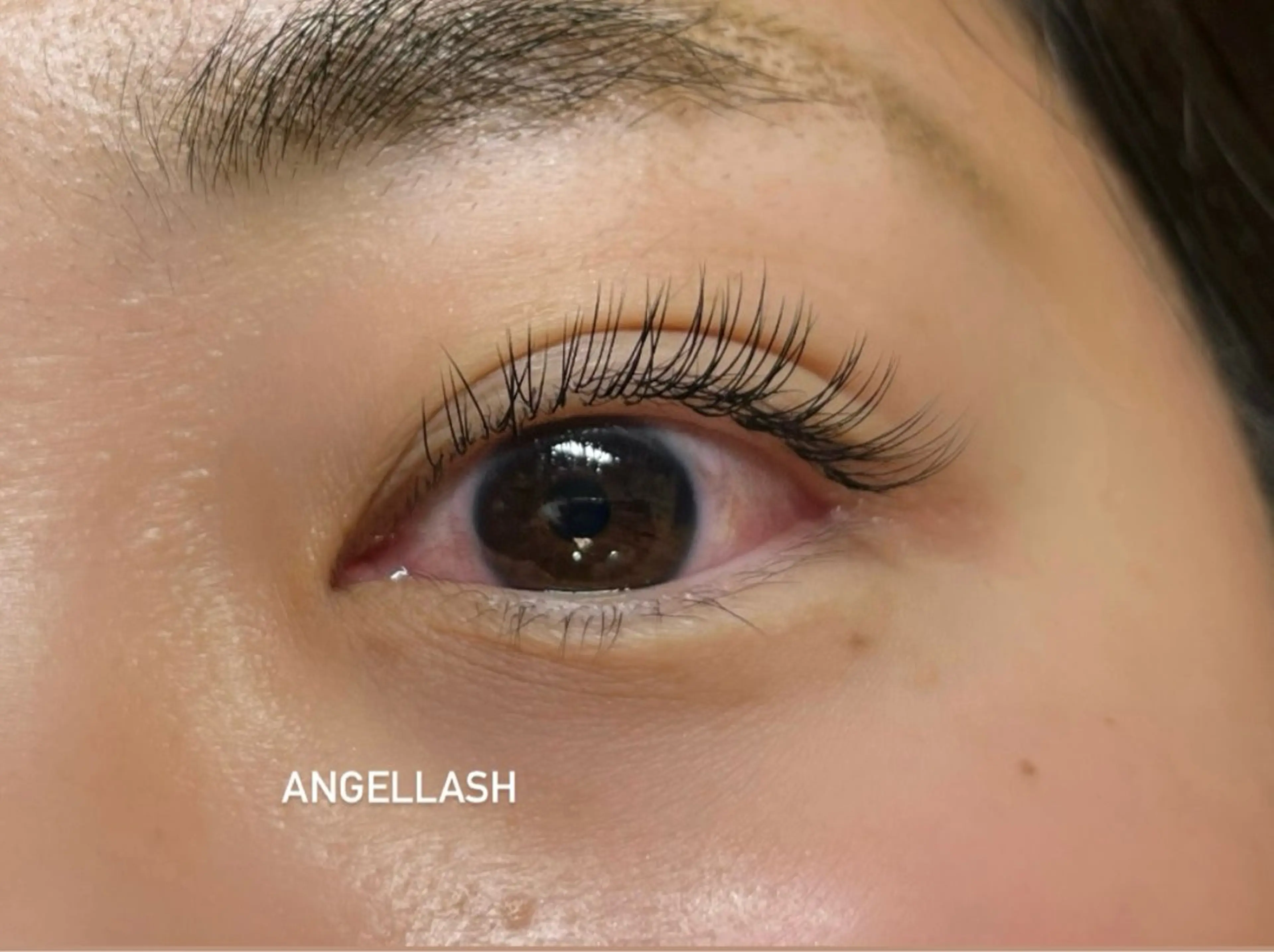 マツエク・マツパ フラットラッシュ AngelLash所属・AngleLash hayashiのマツエク・マツパデザイン