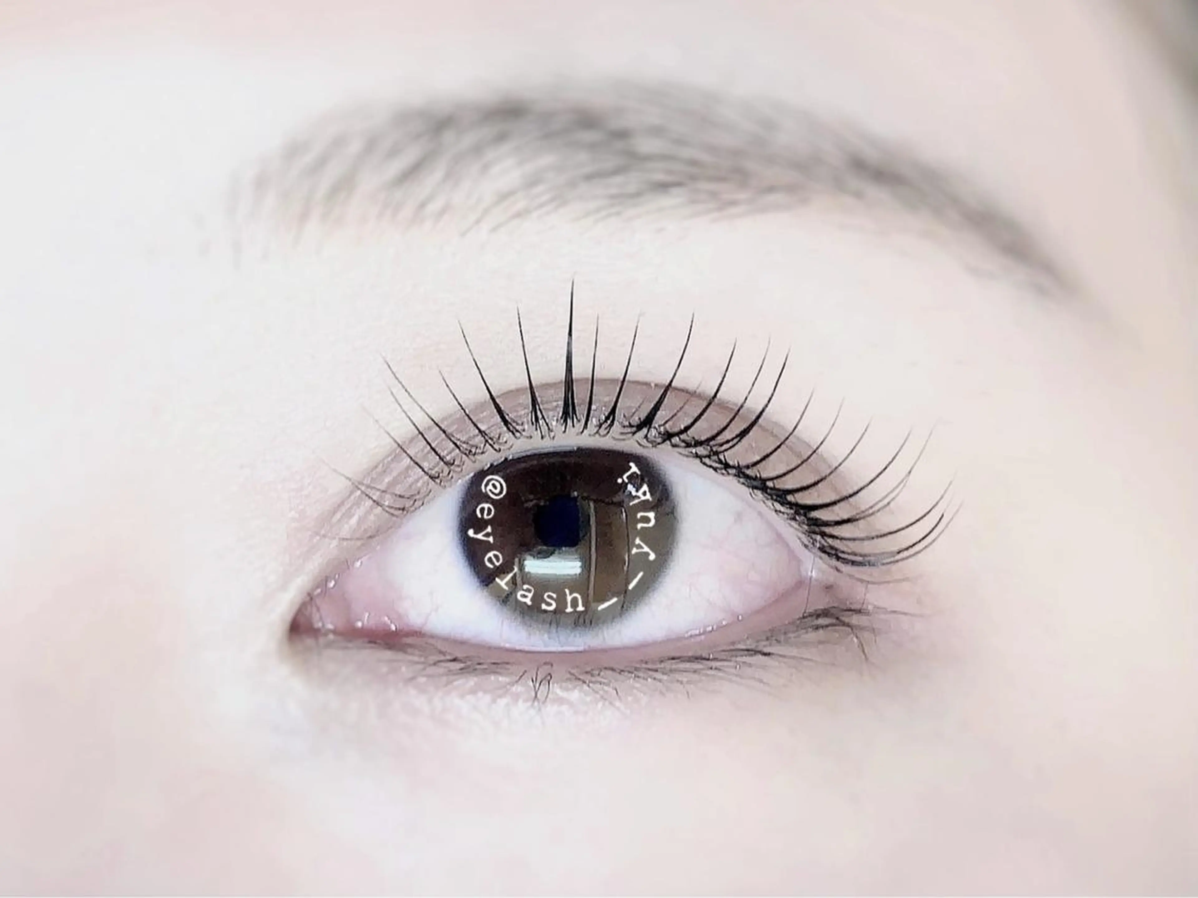 デザイン豊富❣️パリジェンヌor ラッシュリフト❤️まつ毛パーマの写真