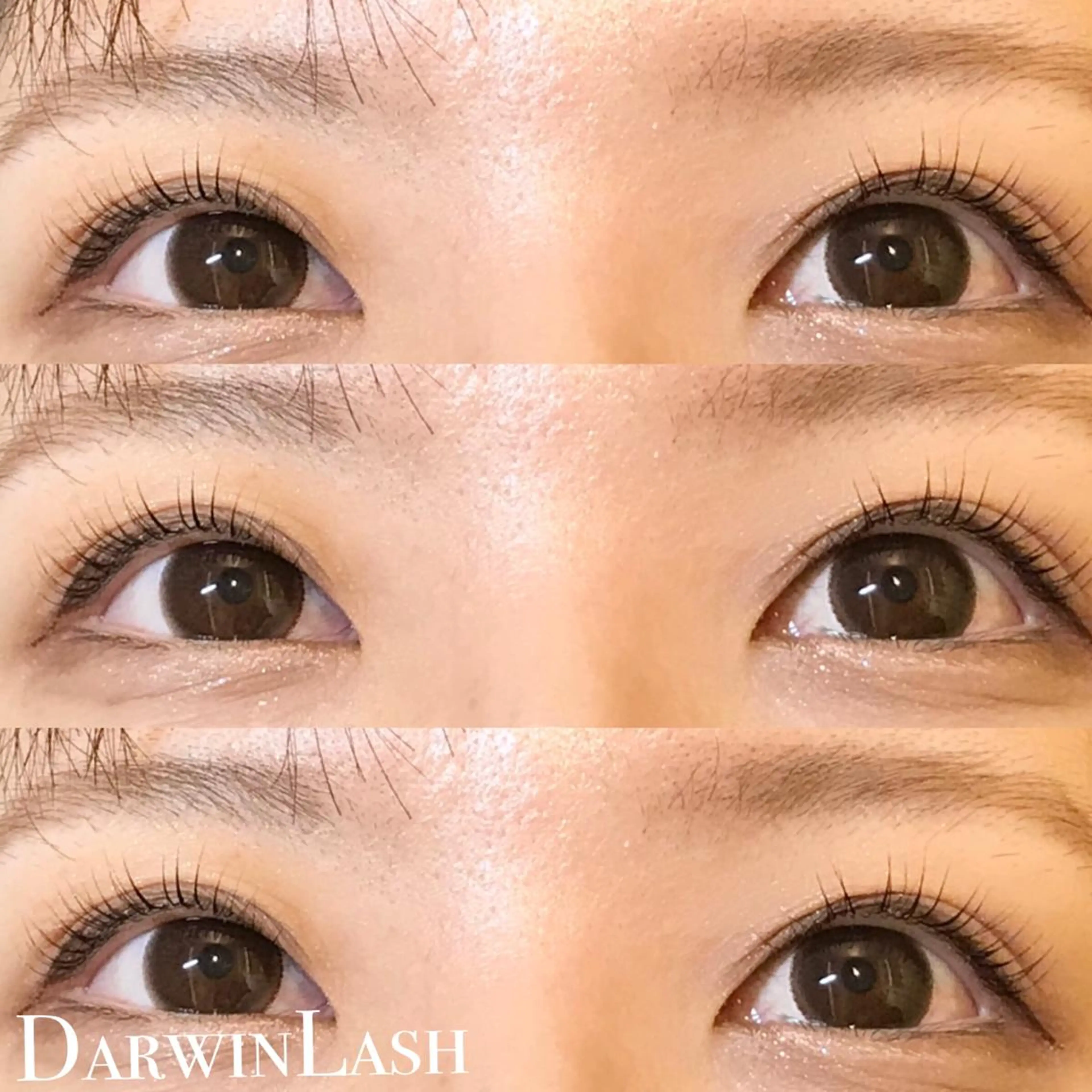 マツエク・マツパ まつげと眉毛のお店Sakura Lash【サクララッシュ】所属・【ダメージケア特化】 🌸 サクララッシュの眉毛・アイブロウイメージ