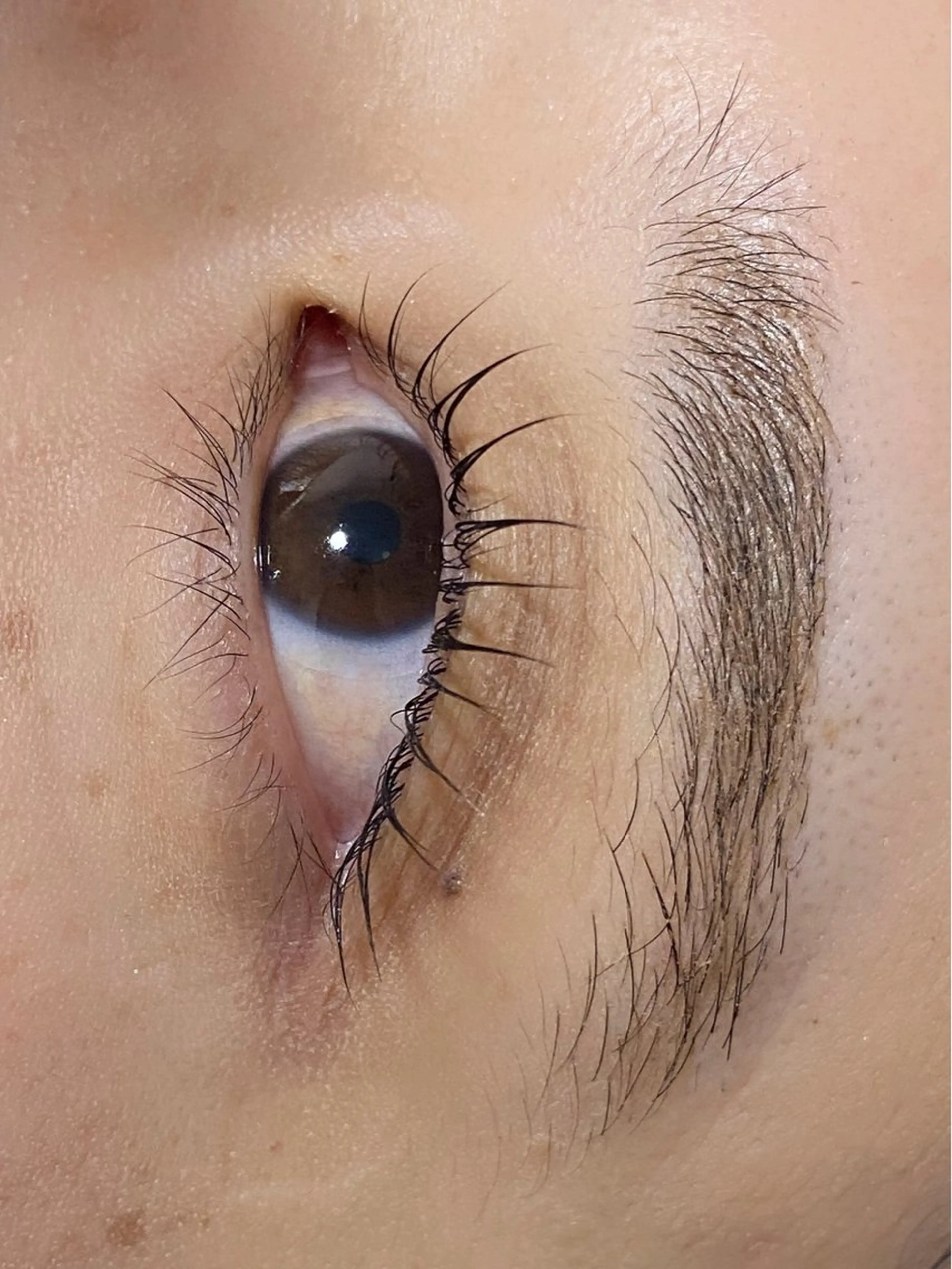 マツエク・マツパ 束感まつ毛 一重×まつ毛パーマ マツパ ビューティーサロンベクスト beautysalonBEXT所属・ビューティーサロン ベクスト名古屋のエステ・リラクイメージ