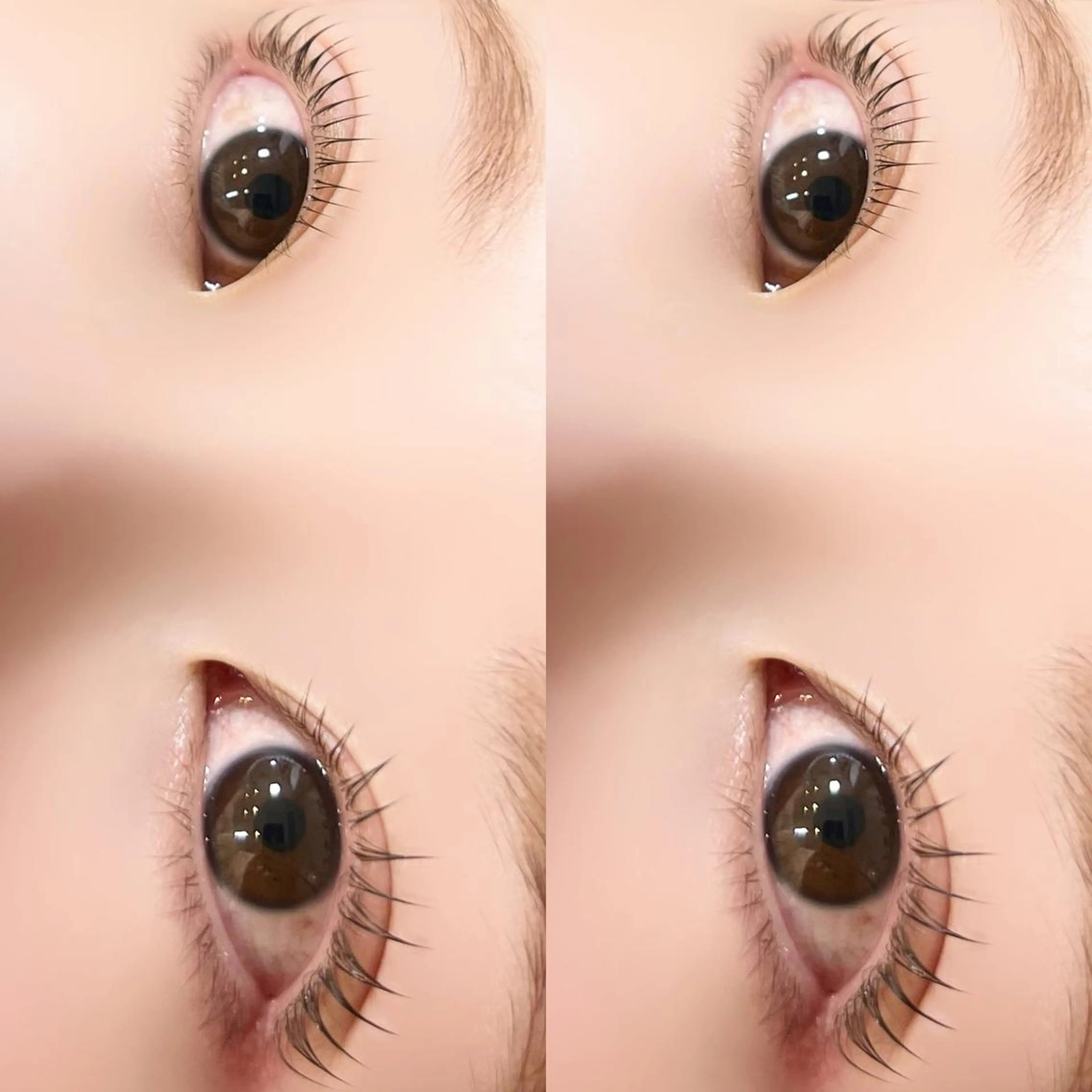 マツエク・マツパ パリジェンヌラッシュリフト マツパ 【myonsil】 Suzuki*のマツエク・マツパデザイン