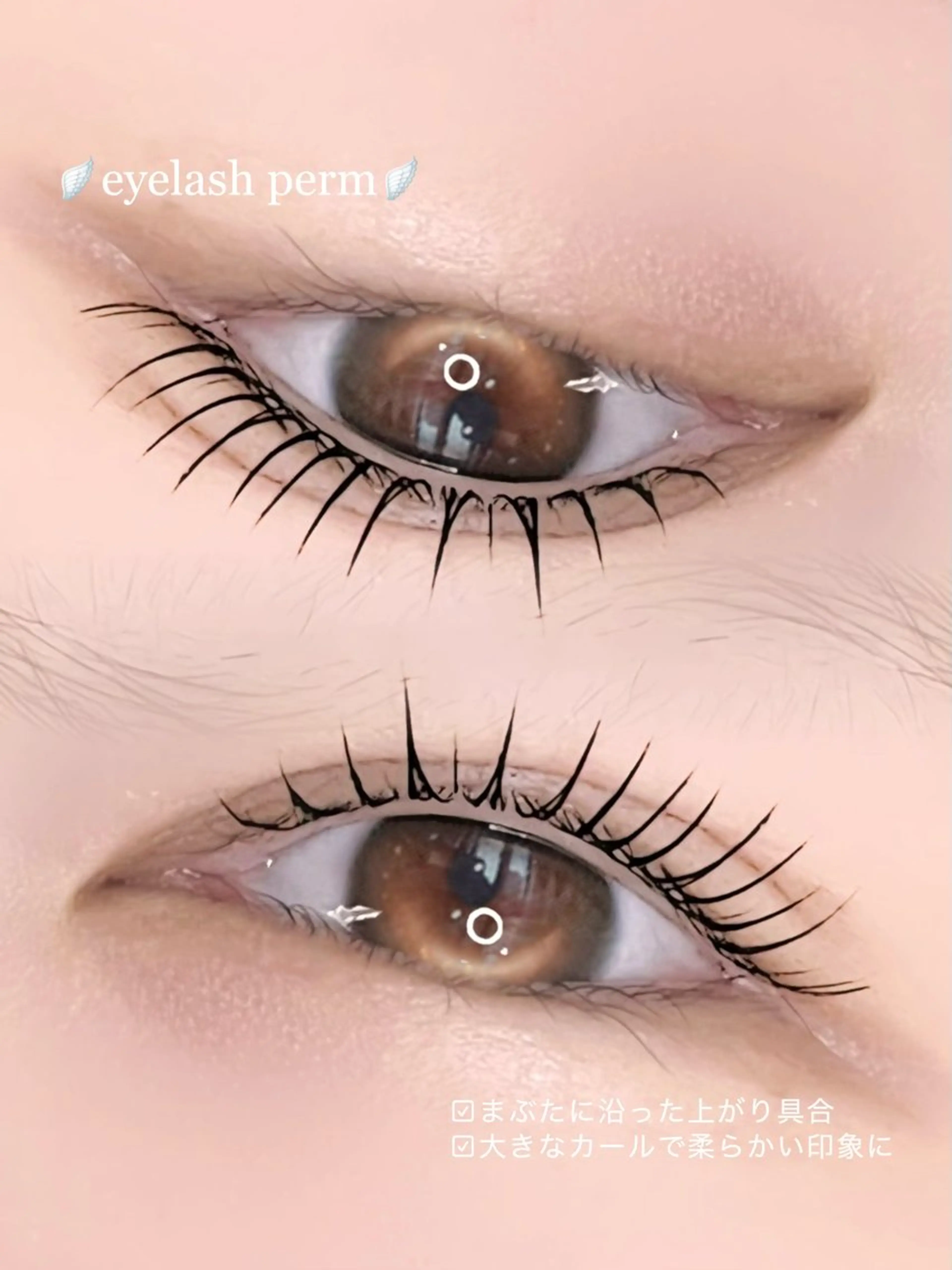 まつ毛パーマ上のみの写真