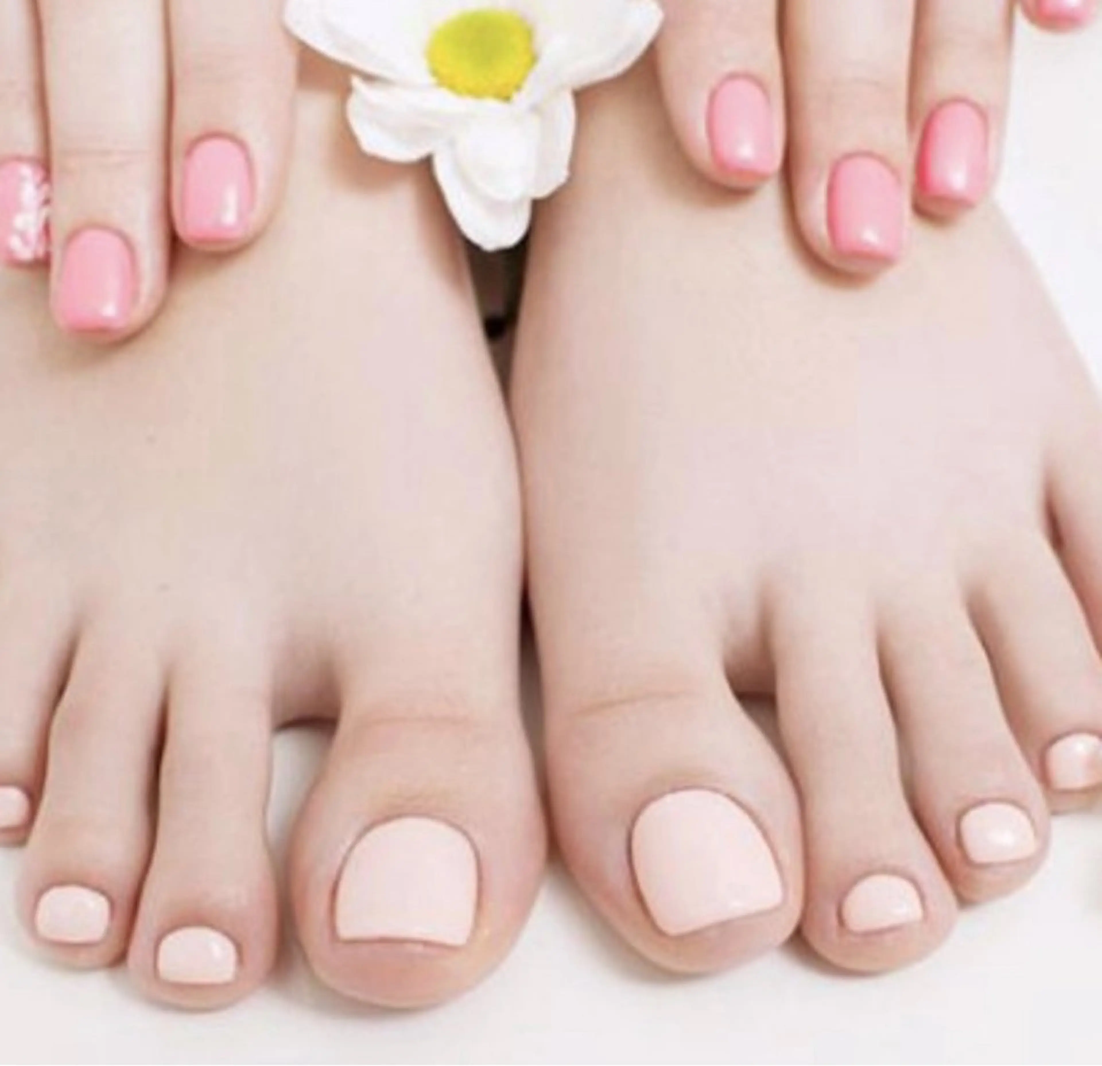 hand & foot）ワンカラーの写真