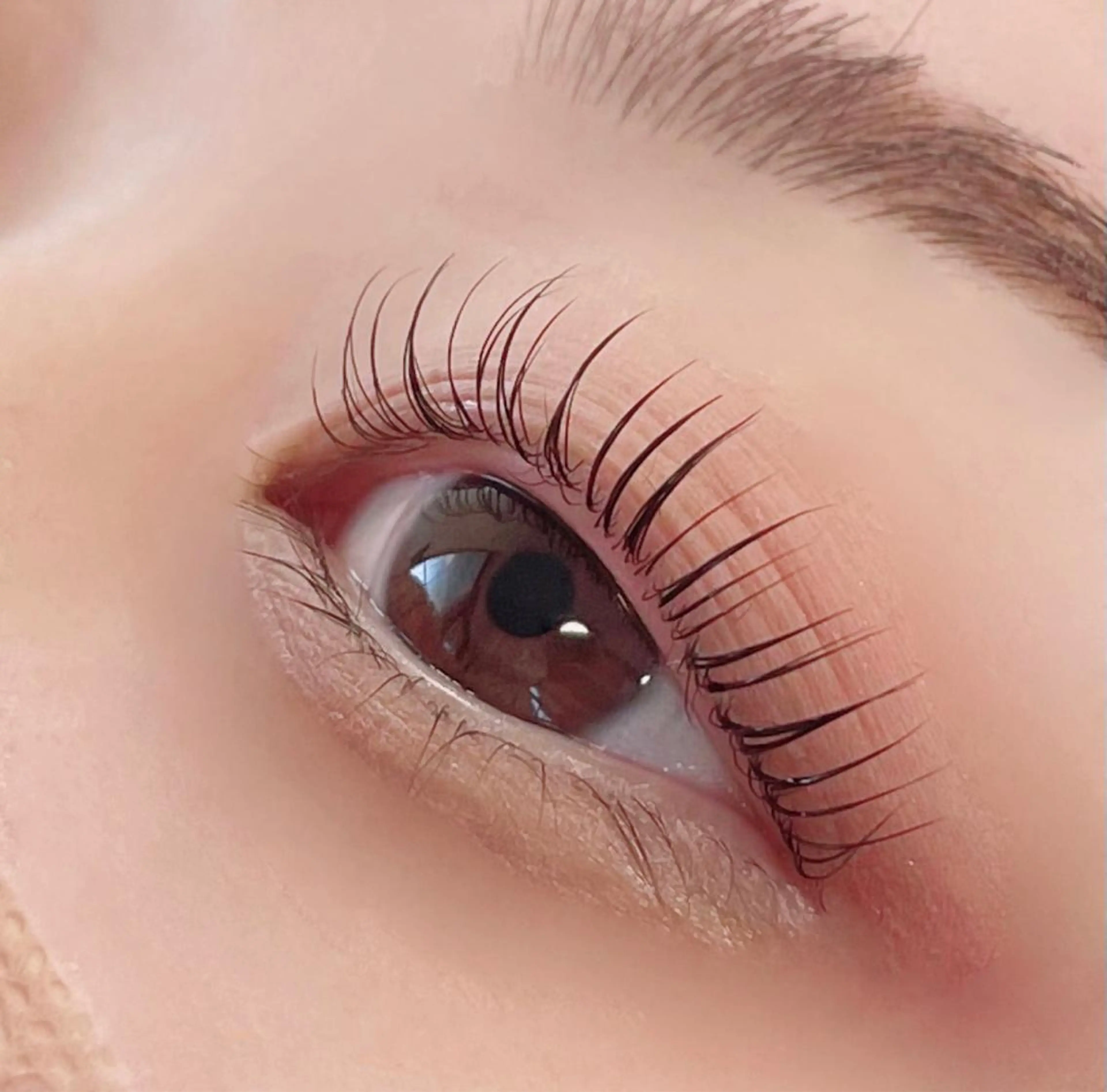 マツエク・マツパ Cカール まつげパーマ Favori 中村のマツエク・マツパデザイン