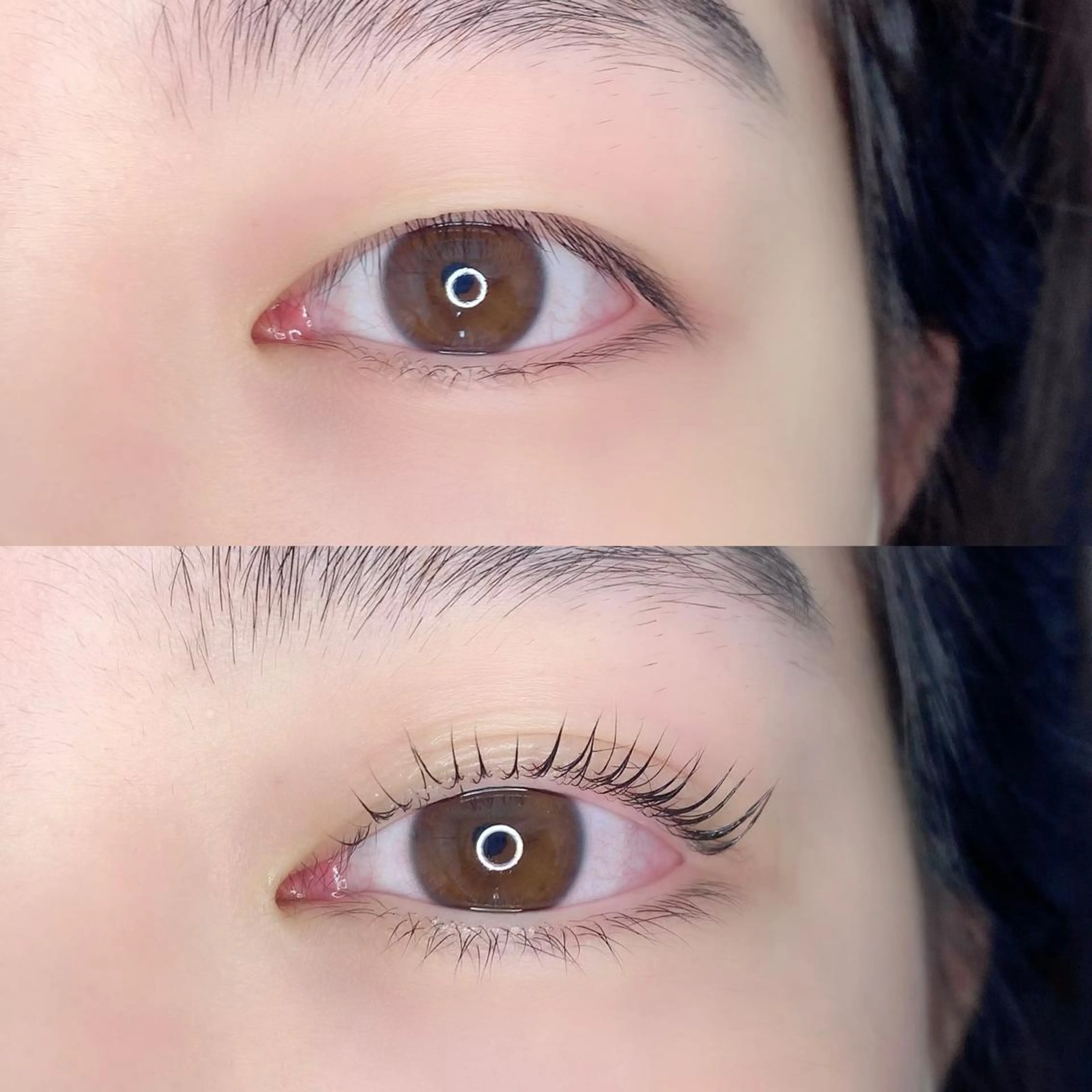 マツエク・マツパ パリジェンヌラッシュリフト LAND【ランド】 小鹿のマツエク・マツパデザイン