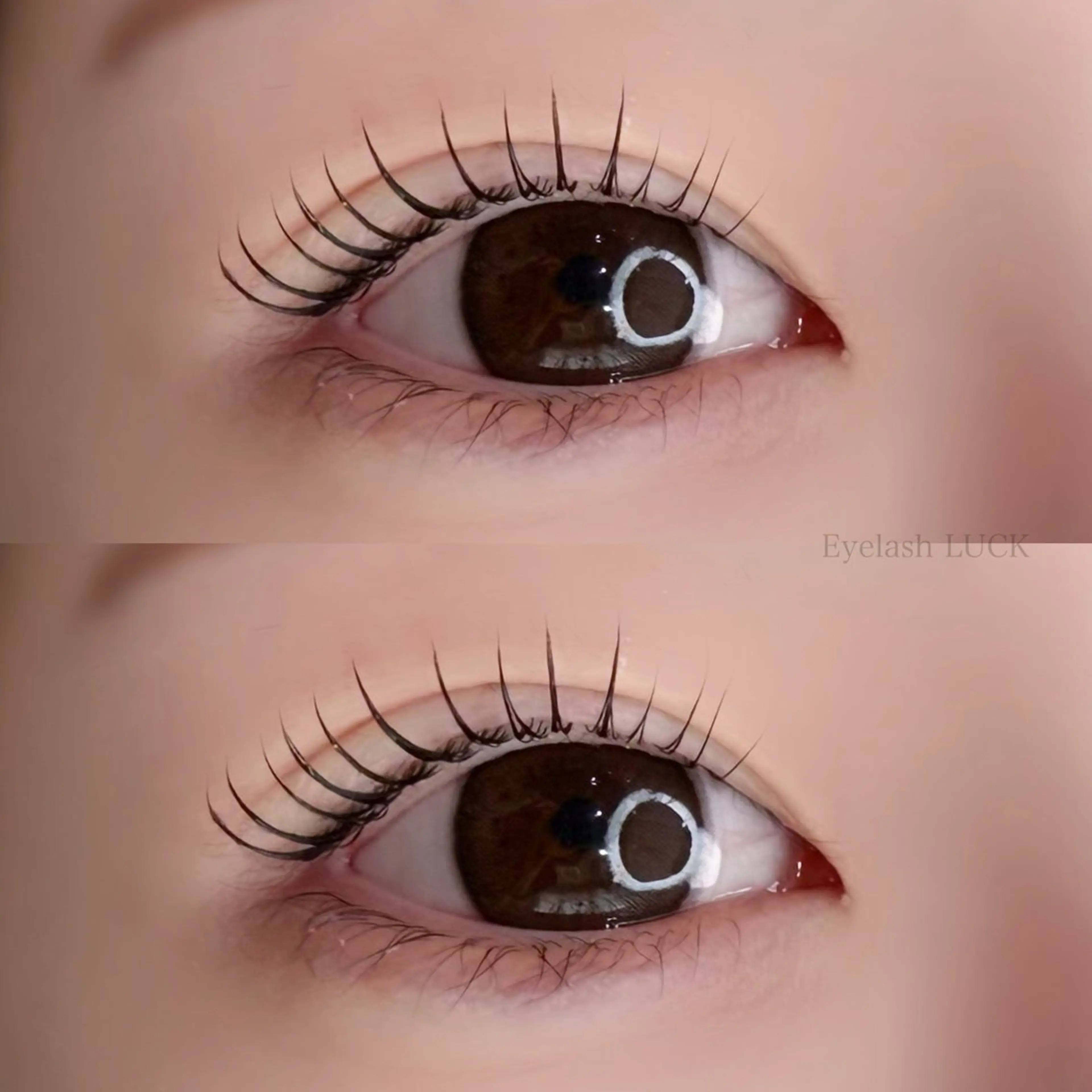 【ラッシュアディクトプレゼント🎁】選べる次世代まつ毛パーマor パリジェンヌラッシュリフト＋束感コーティング🪄︎︎の写真