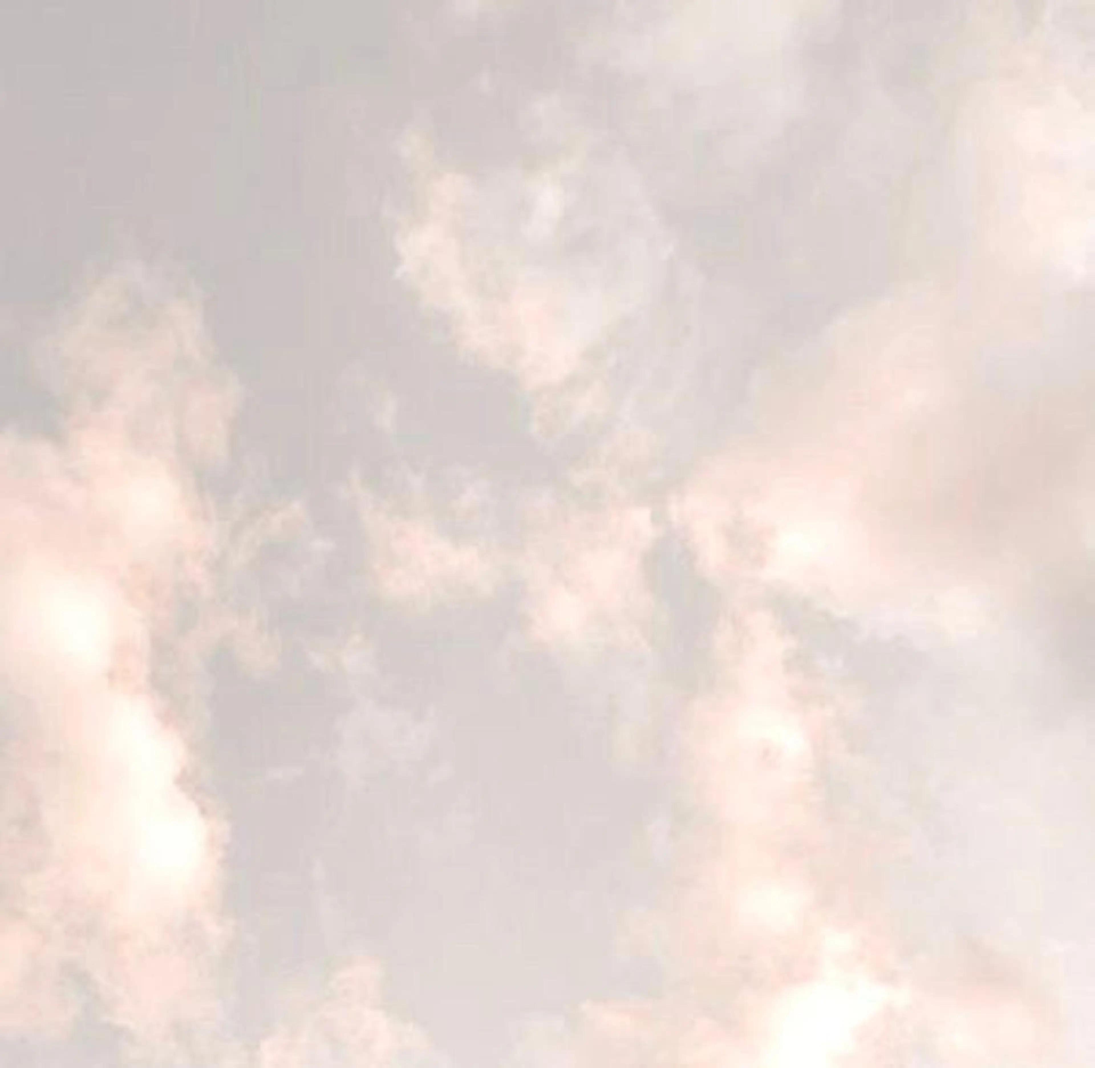 🐰ミニモ限定🐰ケラチンラッシュリフト【束感コーティング仕上げ】の写真