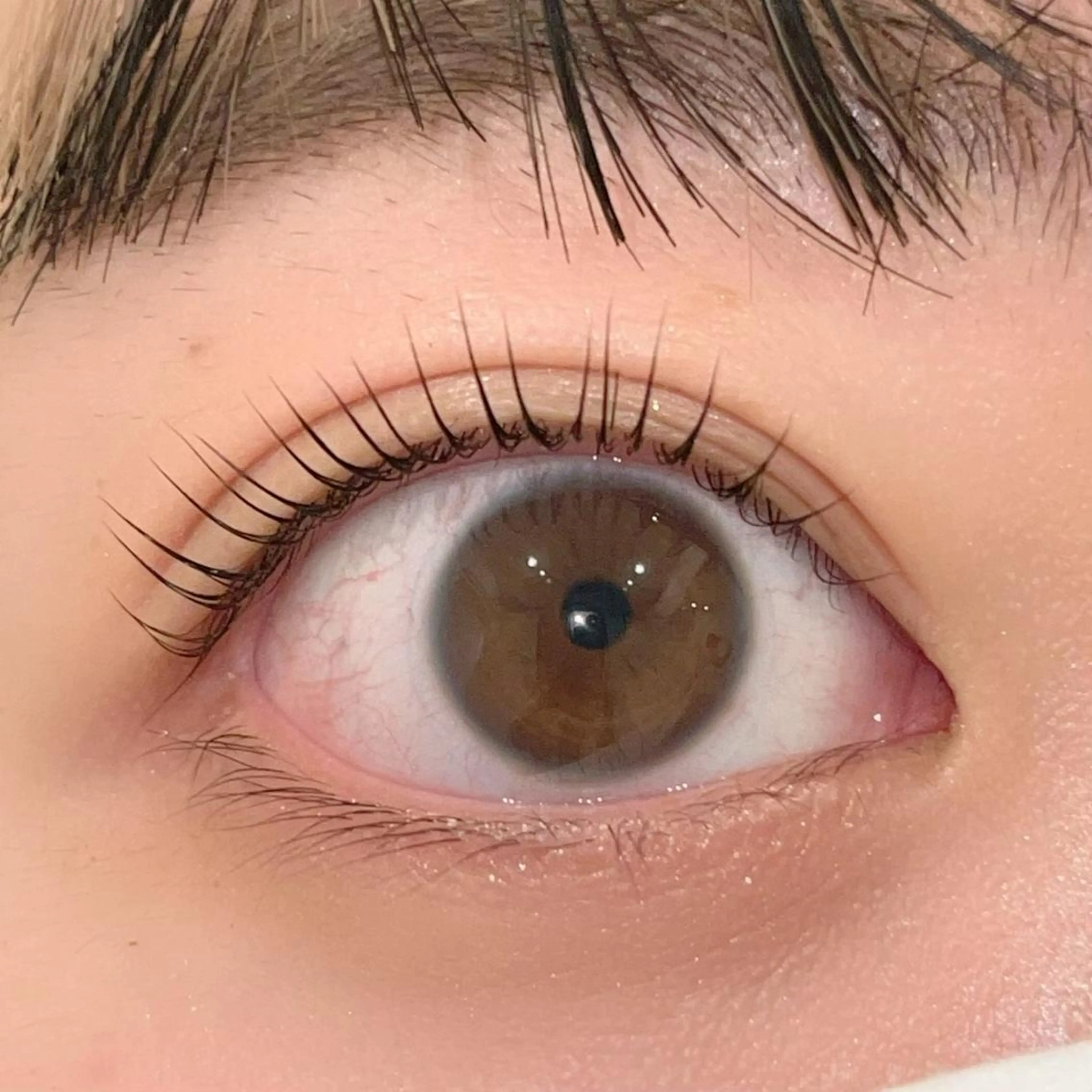 マツエク・マツパ パリジェンヌラッシュリフト まつげパーマ ai一重専門🎀束感 まつげ🫧表参道のマツエク・マツパデザイン