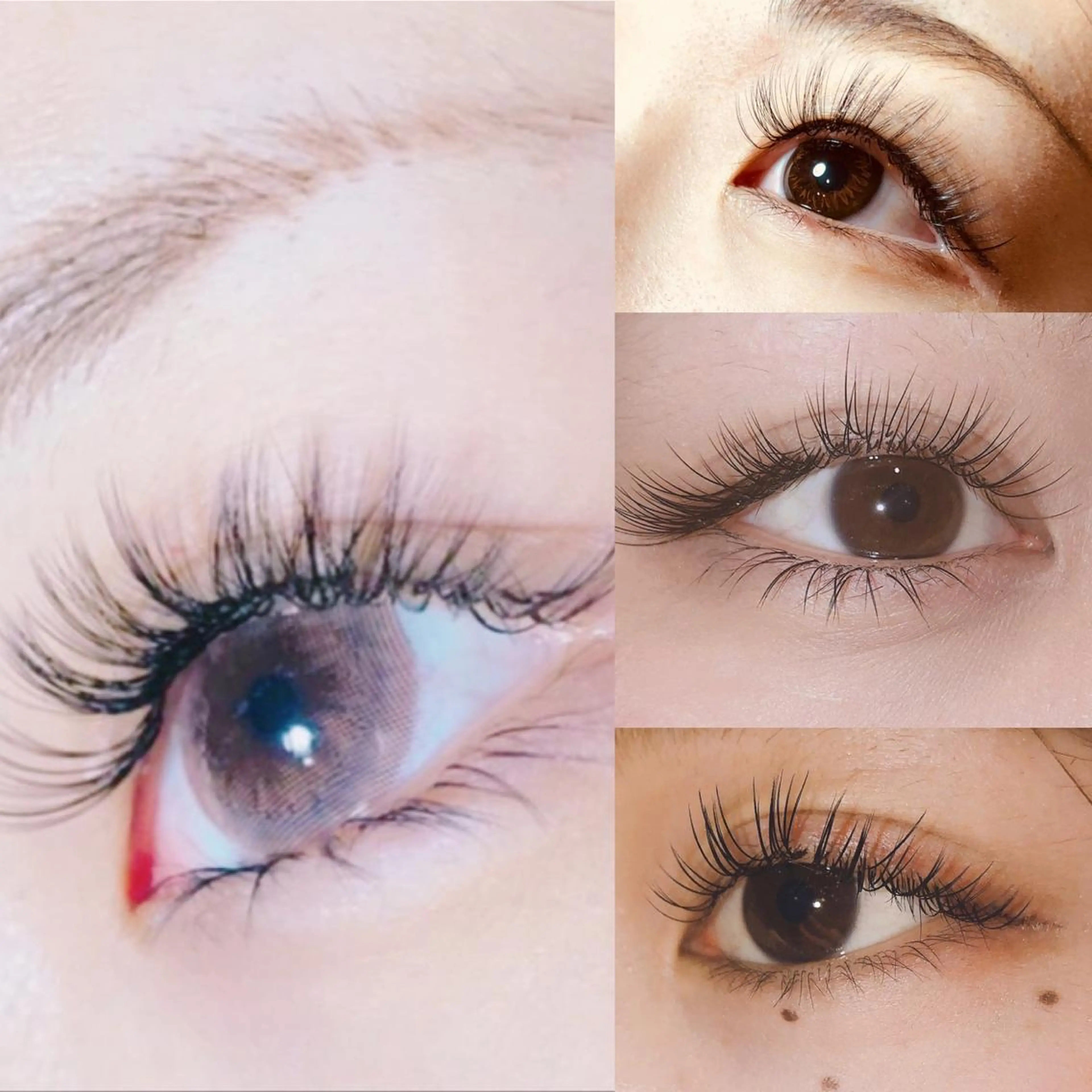 【特別価格🧸】バインドロック60束の写真