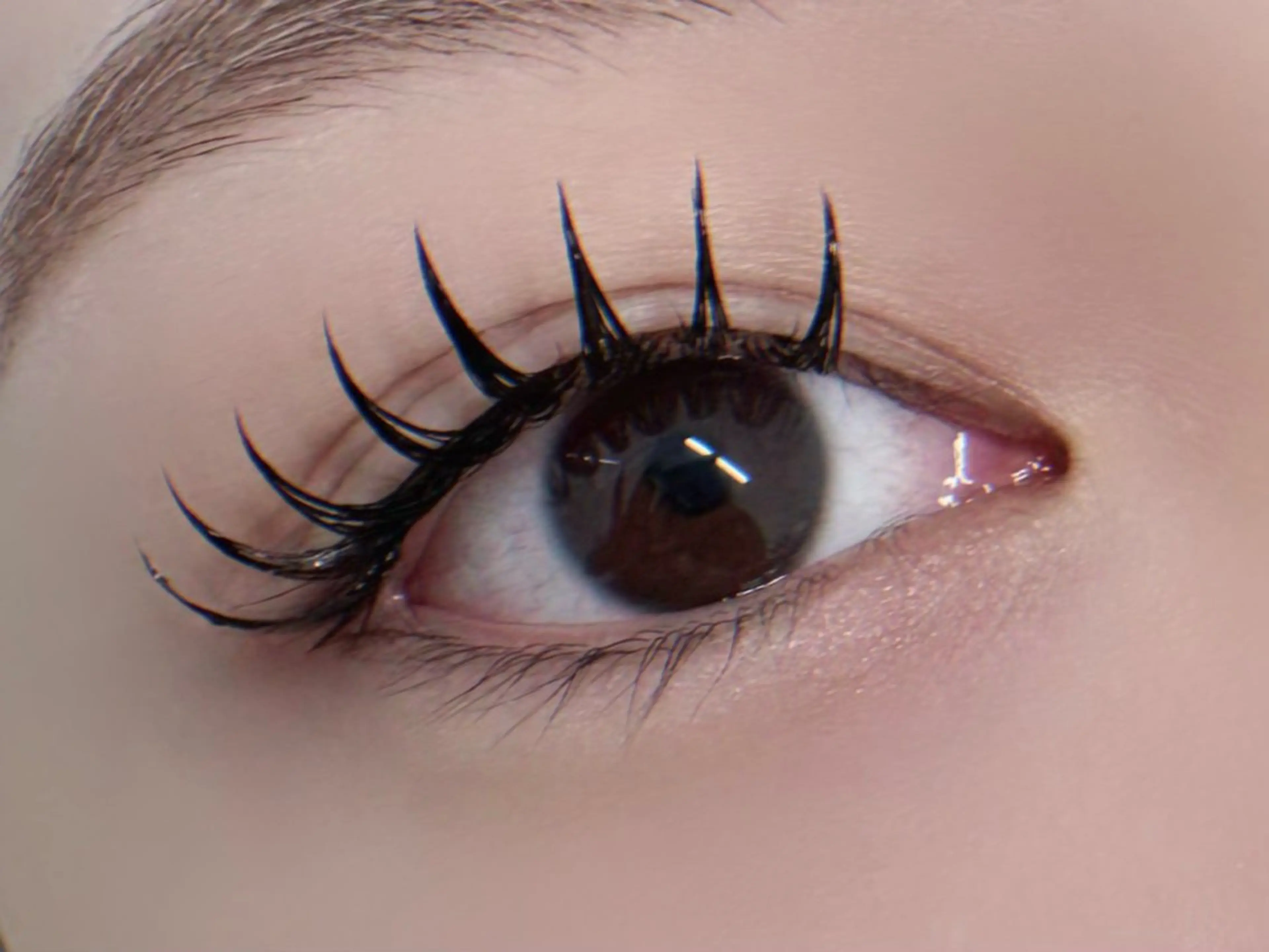 マツエク・マツパ 束感まつ毛 フラットラッシュ 韓国風マツエク Mua eyelash所属・Mua eyelashのマツエク・マツパデザイン