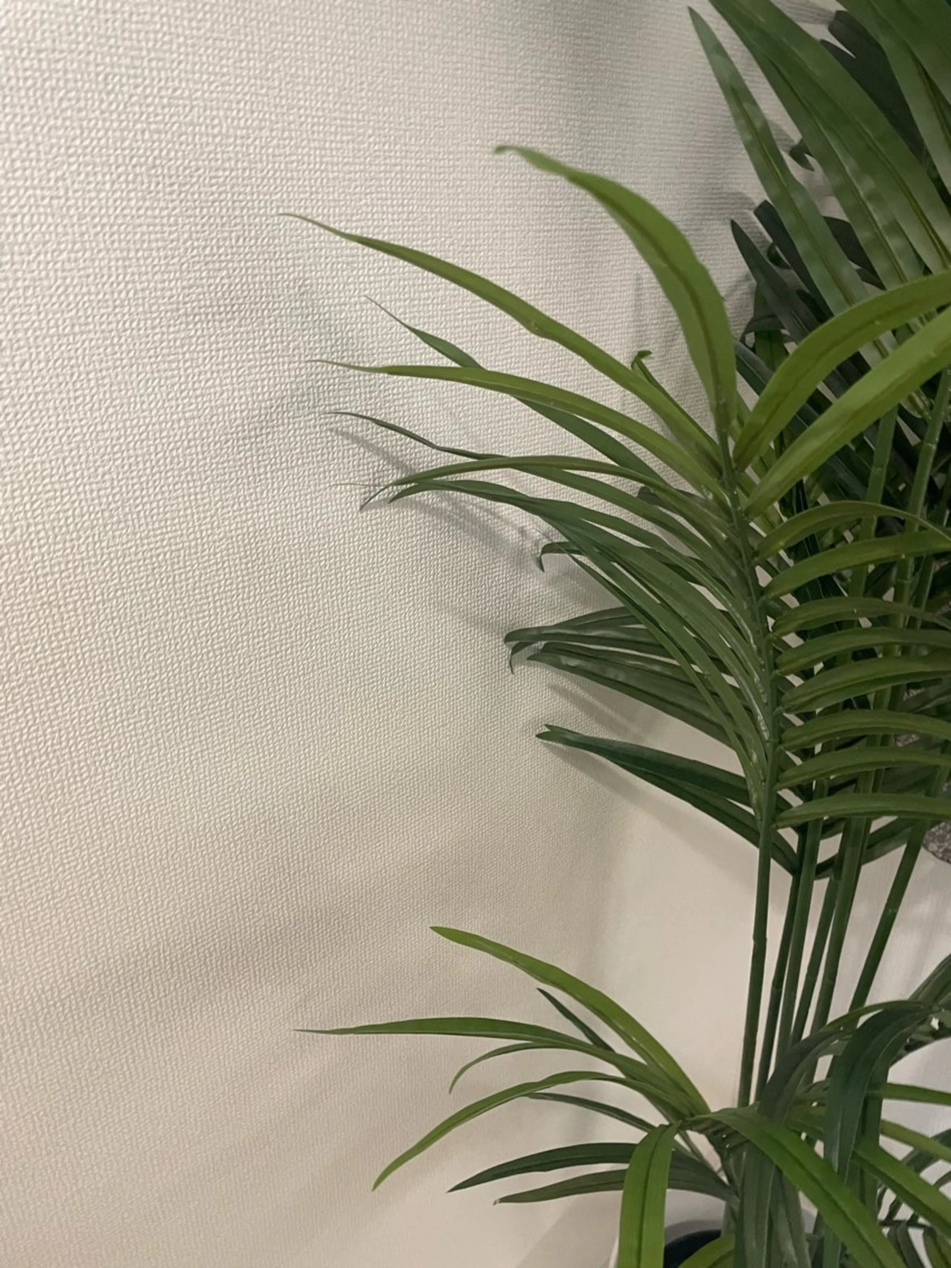 grates所属・カラーモデル募集中／ aikoのヘアスタイル