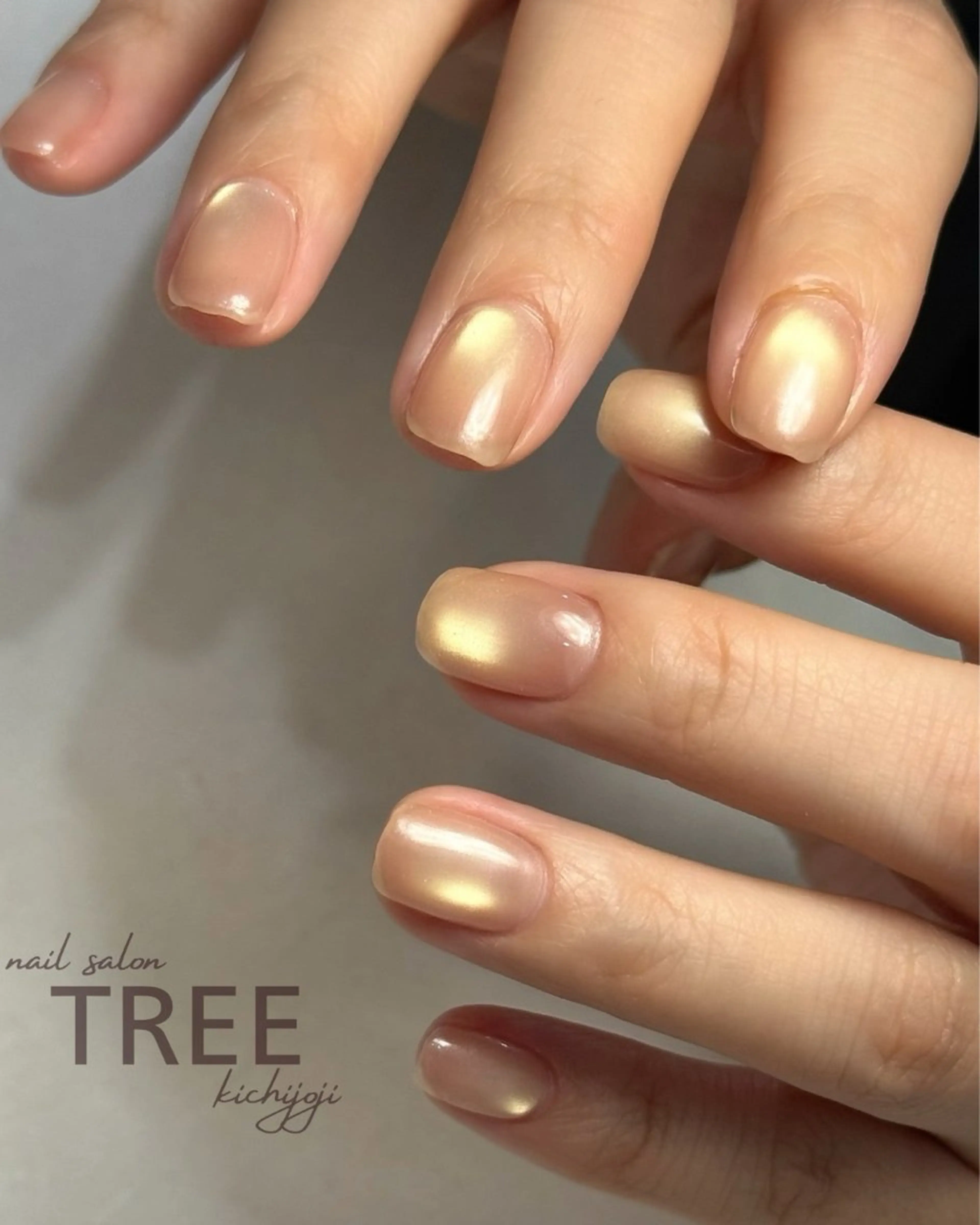 ネイル ハンドネイル ハンドケア 吉祥寺ネイルtree /SONODAのネイルデザイン