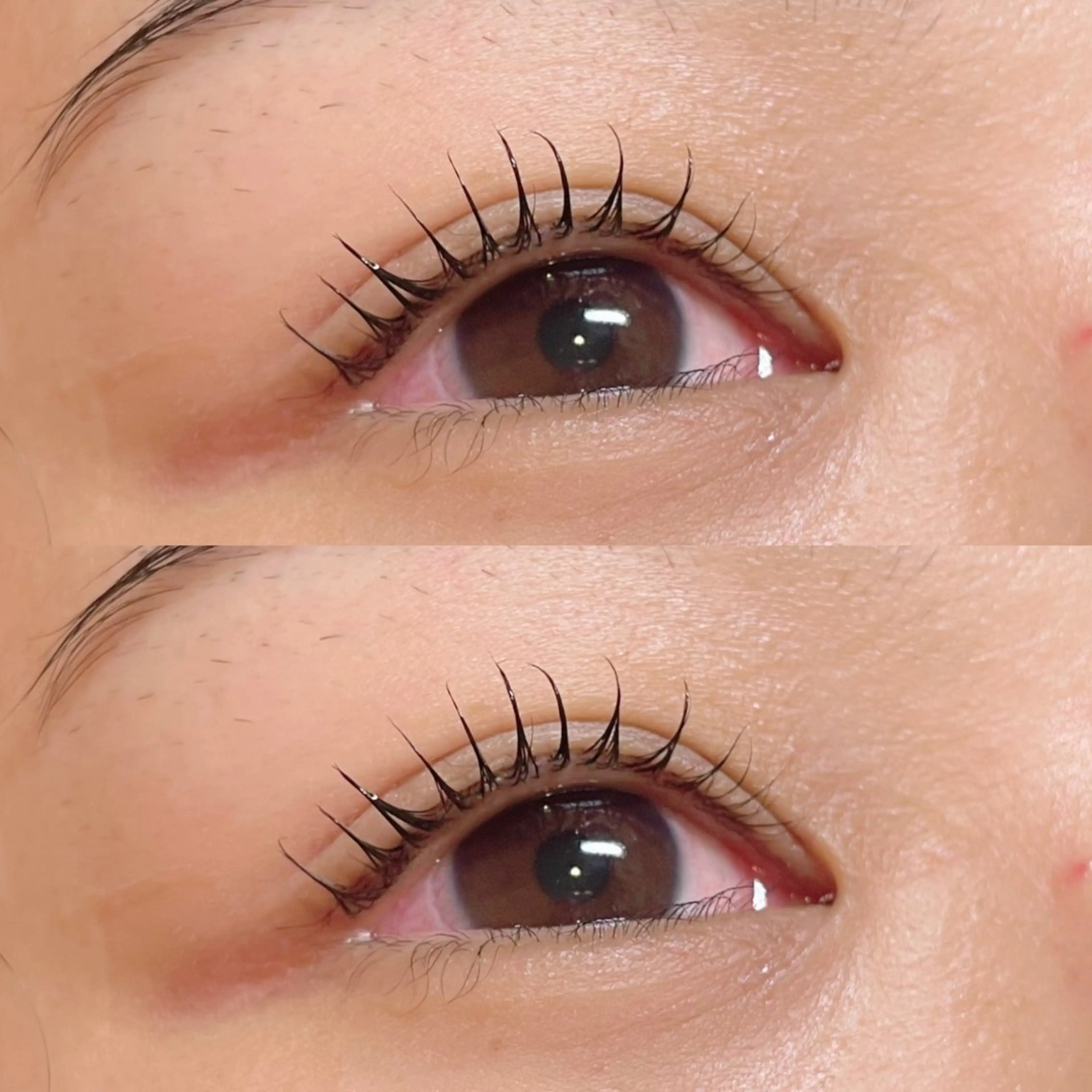 まつ毛パーマorパリジェンヌ（上）《コーティング付》の写真