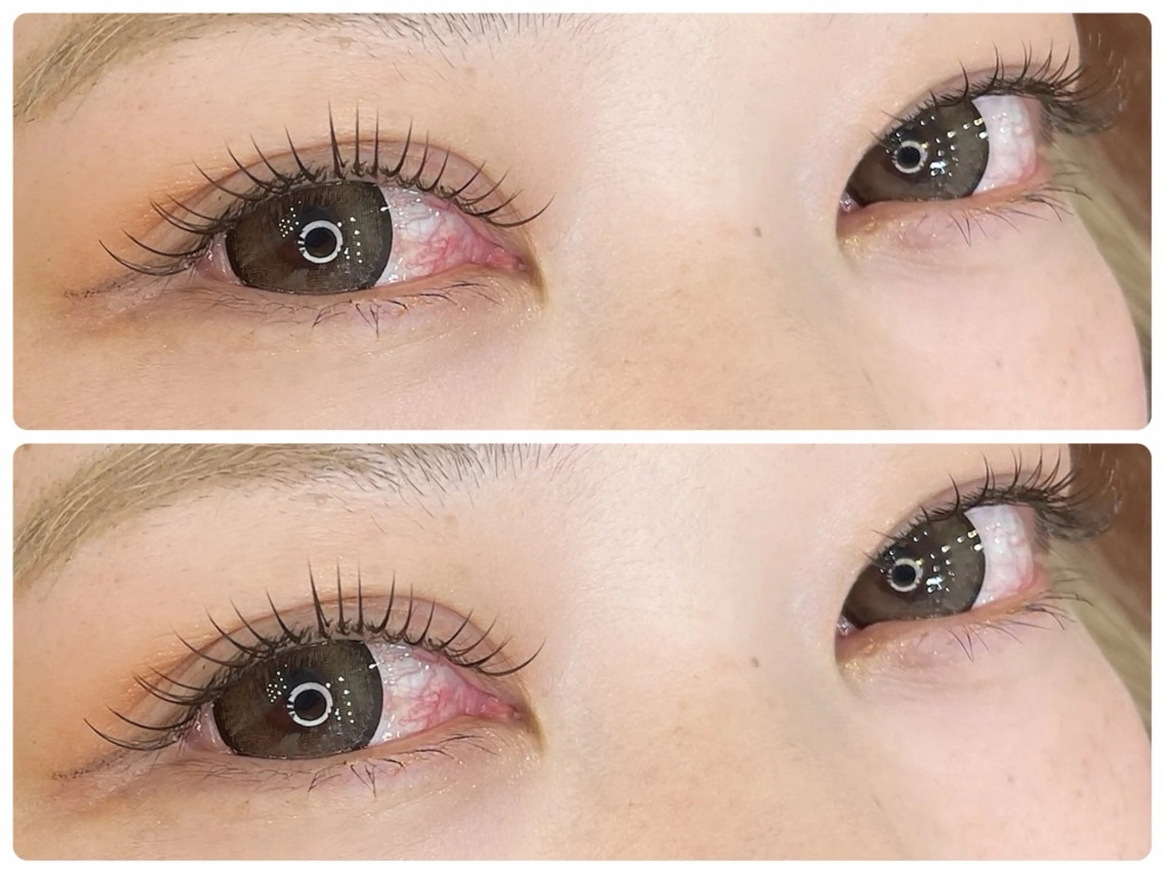 【ミニモ限定クーポン⭐️】 LEDマツエク80​〜​100本の写真