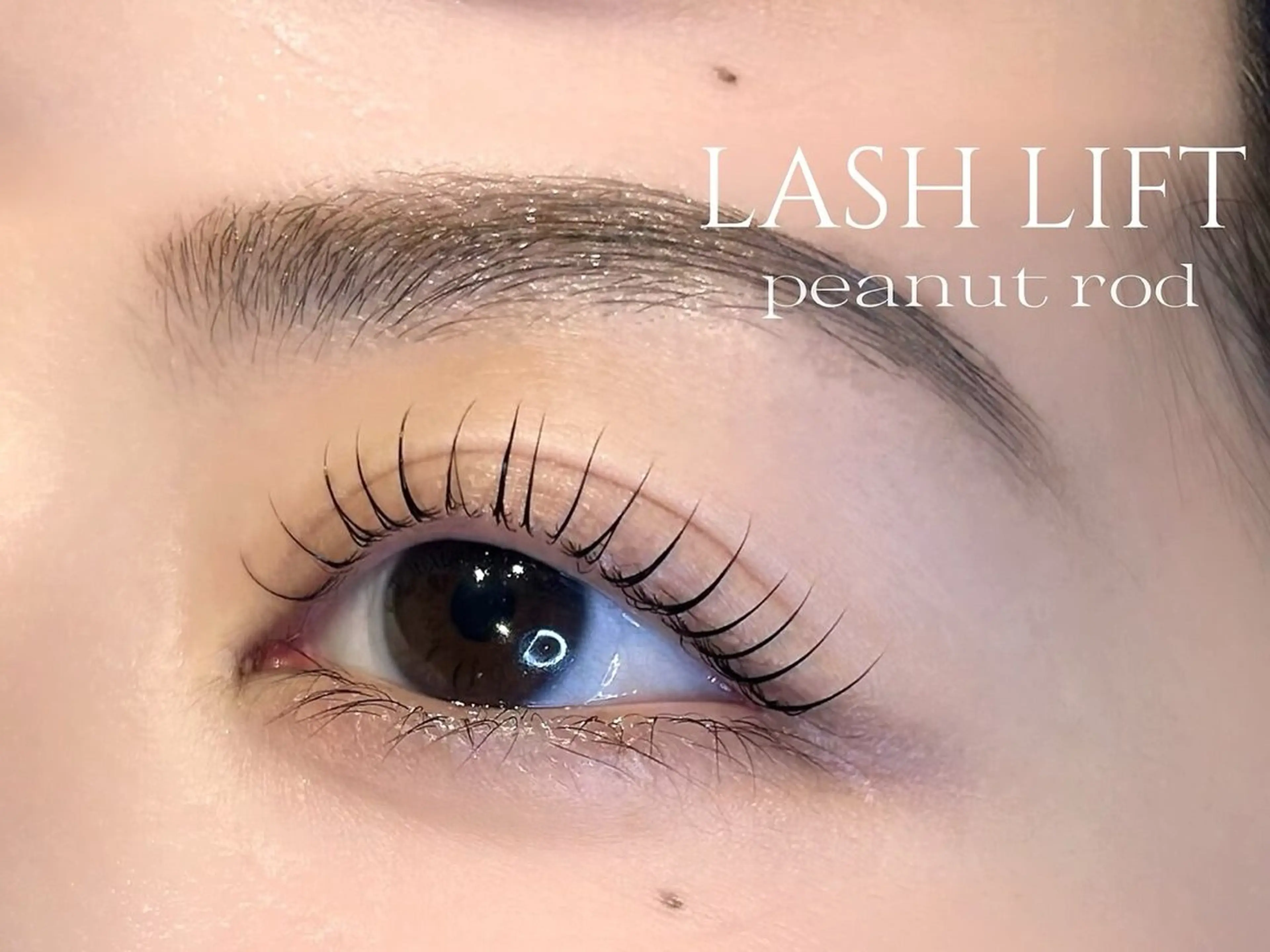 【モデル募集】パリジェンヌラッシュリフトorまつげパーマ【コーティング付き】の写真