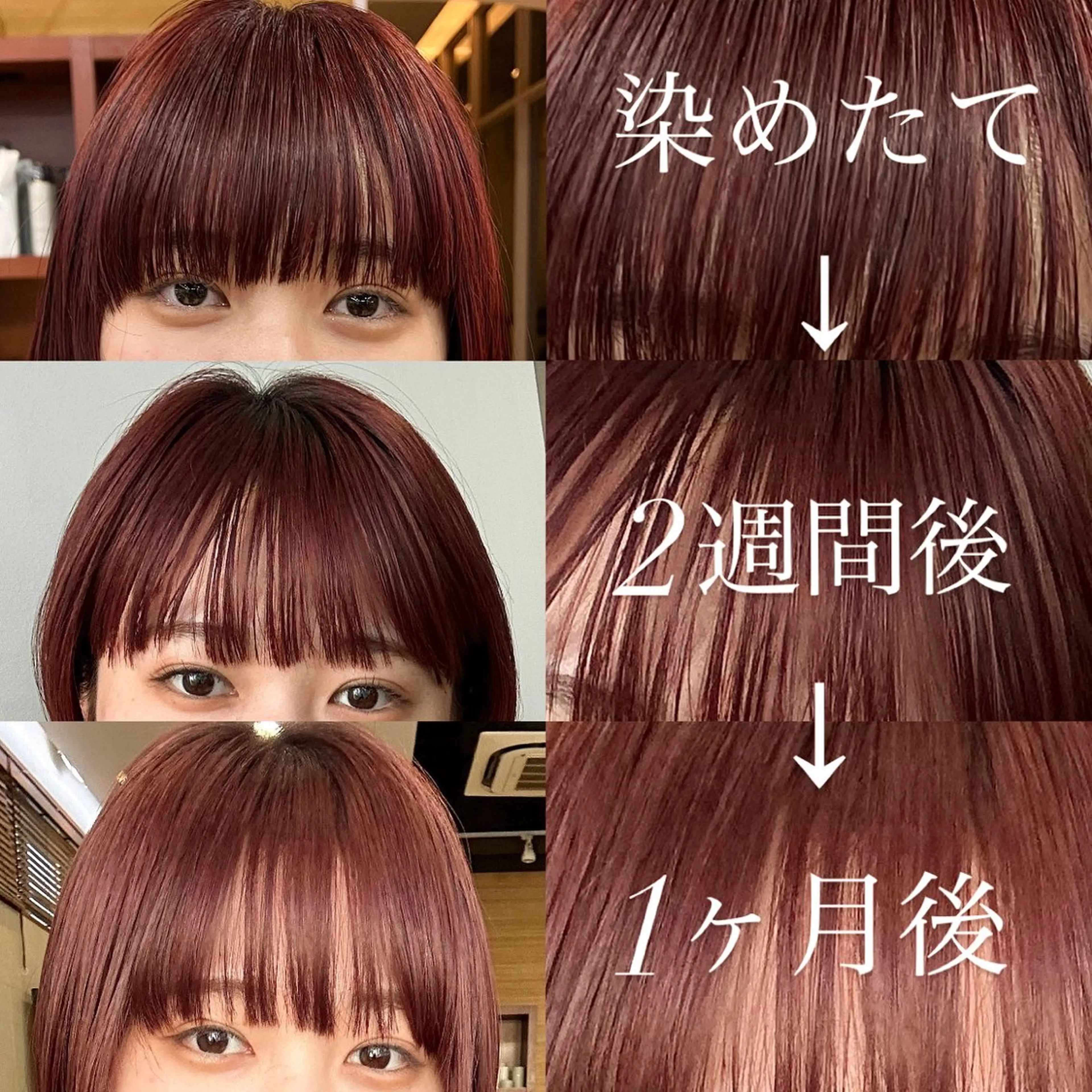 カラー ヘアカラー トリートメント このか/似合わせ/ 透明感/ダブルカラーのヘアスタイル