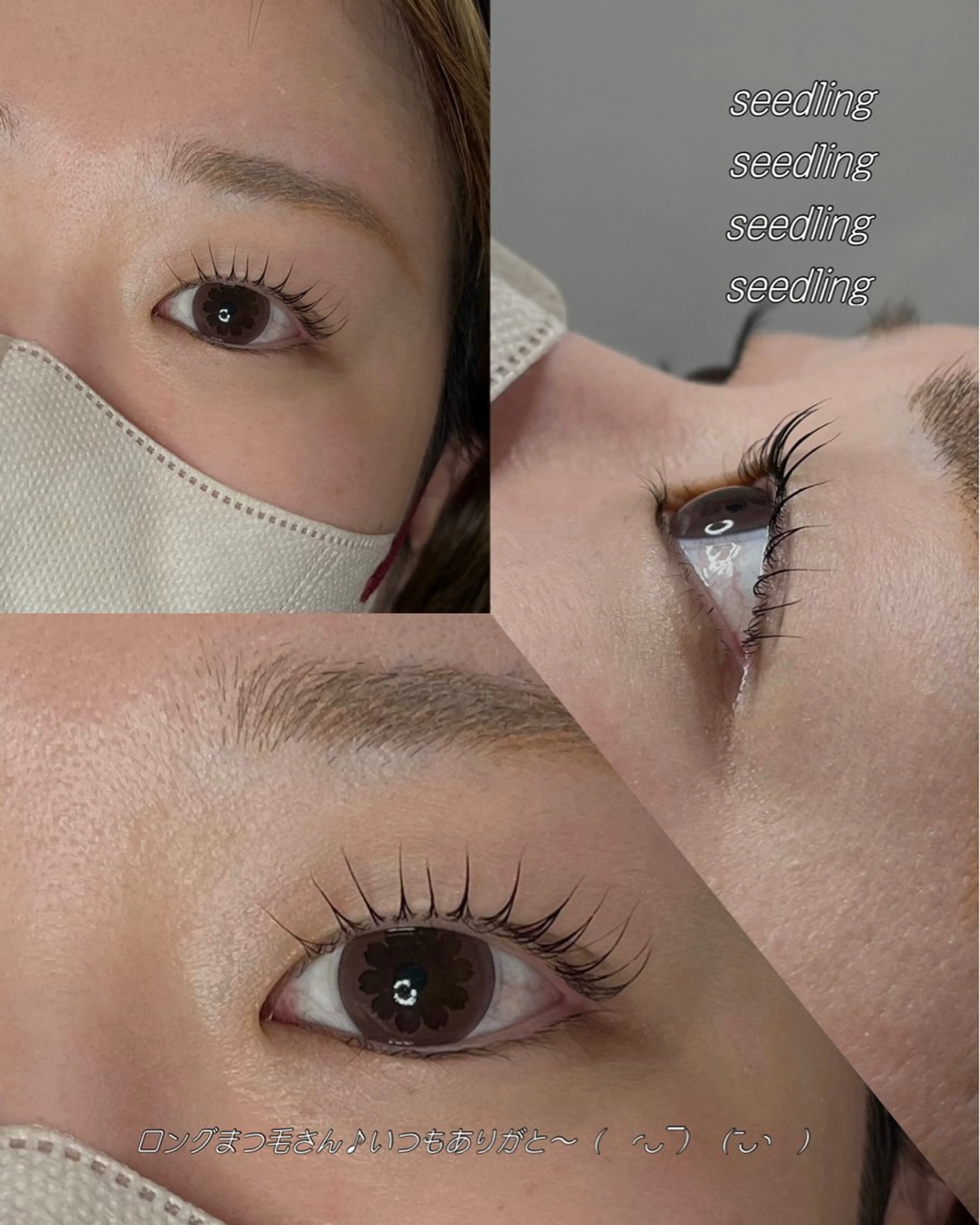 マツエク・マツパ シードリン府内店 米光の眉毛・アイブロウイメージ