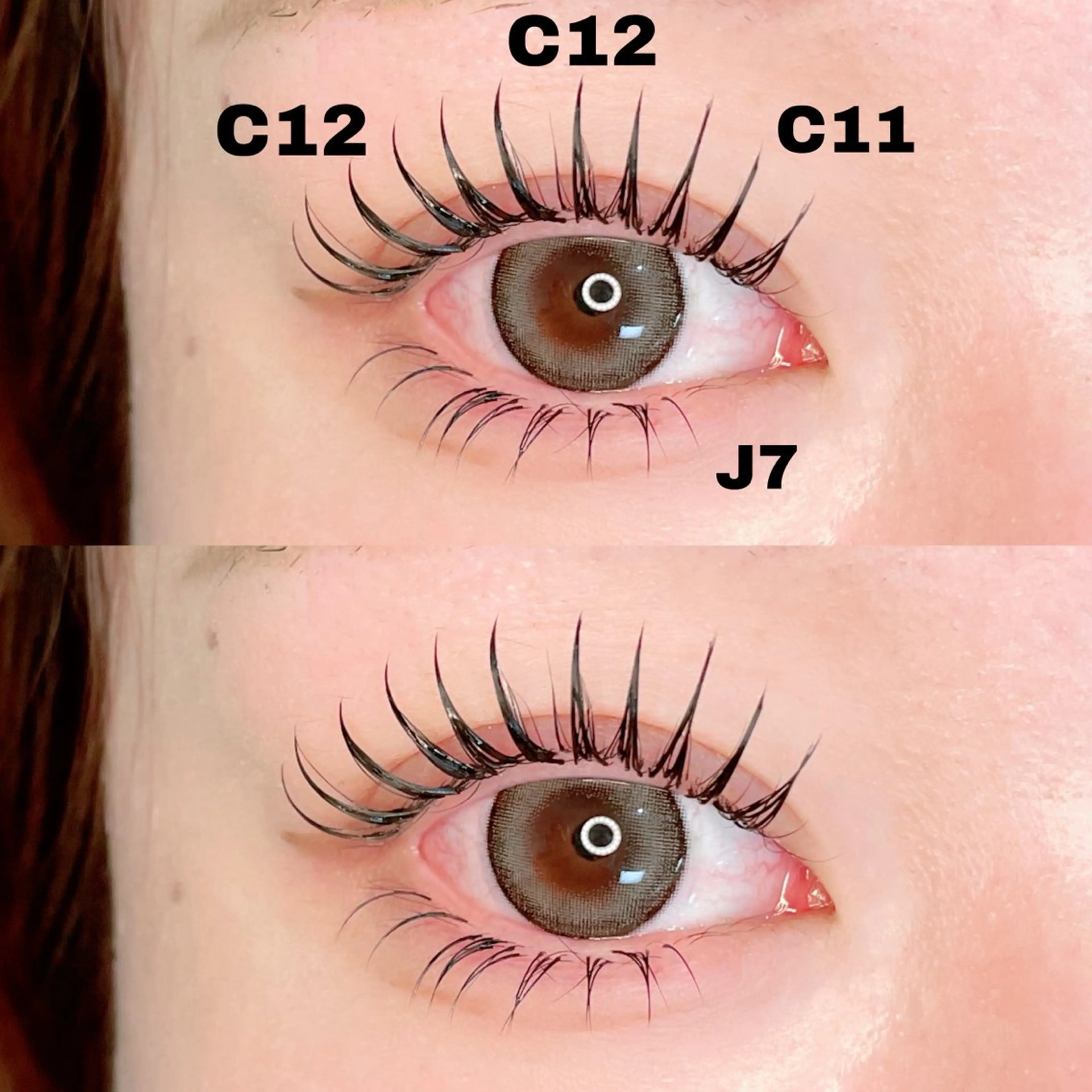 【パリエク】パリジェンヌラッシュリフト＋ダブルフラットラッシュ80束目安［カラー／再来様／オフ＋500円］の写真