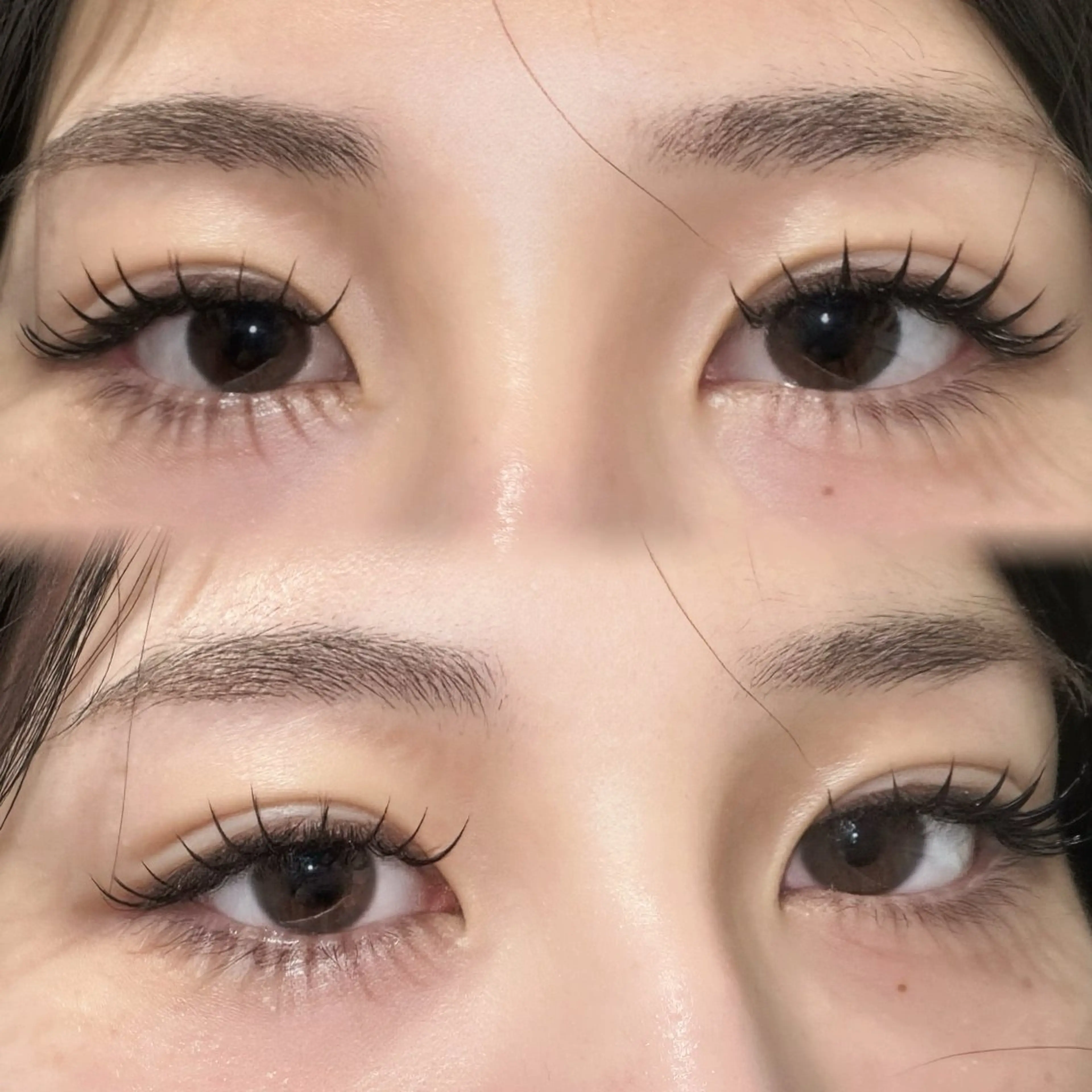 マツエク・マツパ セーブル DL･BEAUTY 🩶RISEのマツエク・マツパデザイン