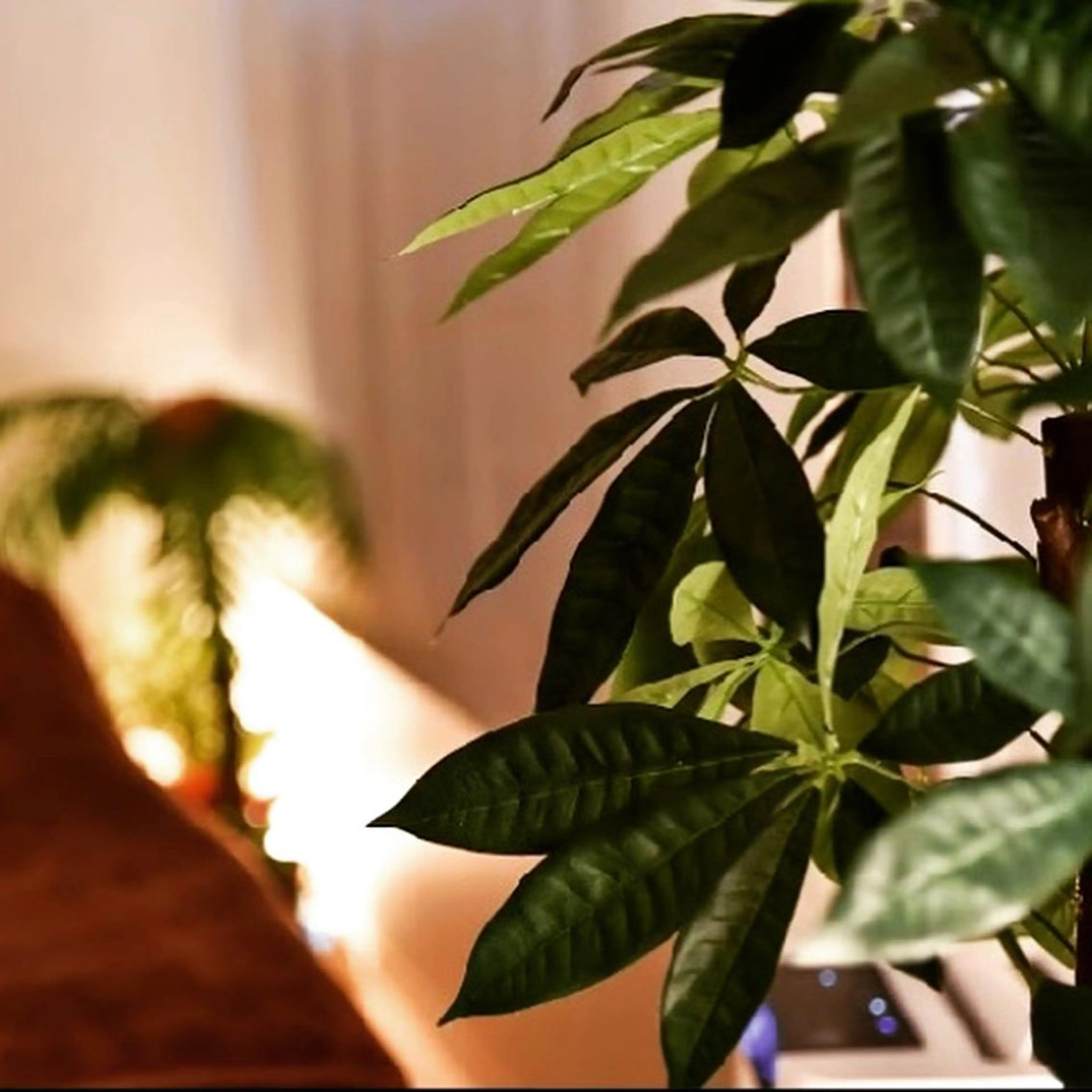 リラク 新宿リラクゼーションサロンSea the  Night所属・【新宿ﾘﾗｸ】Sea the Nightのエステ・リラクイメージ