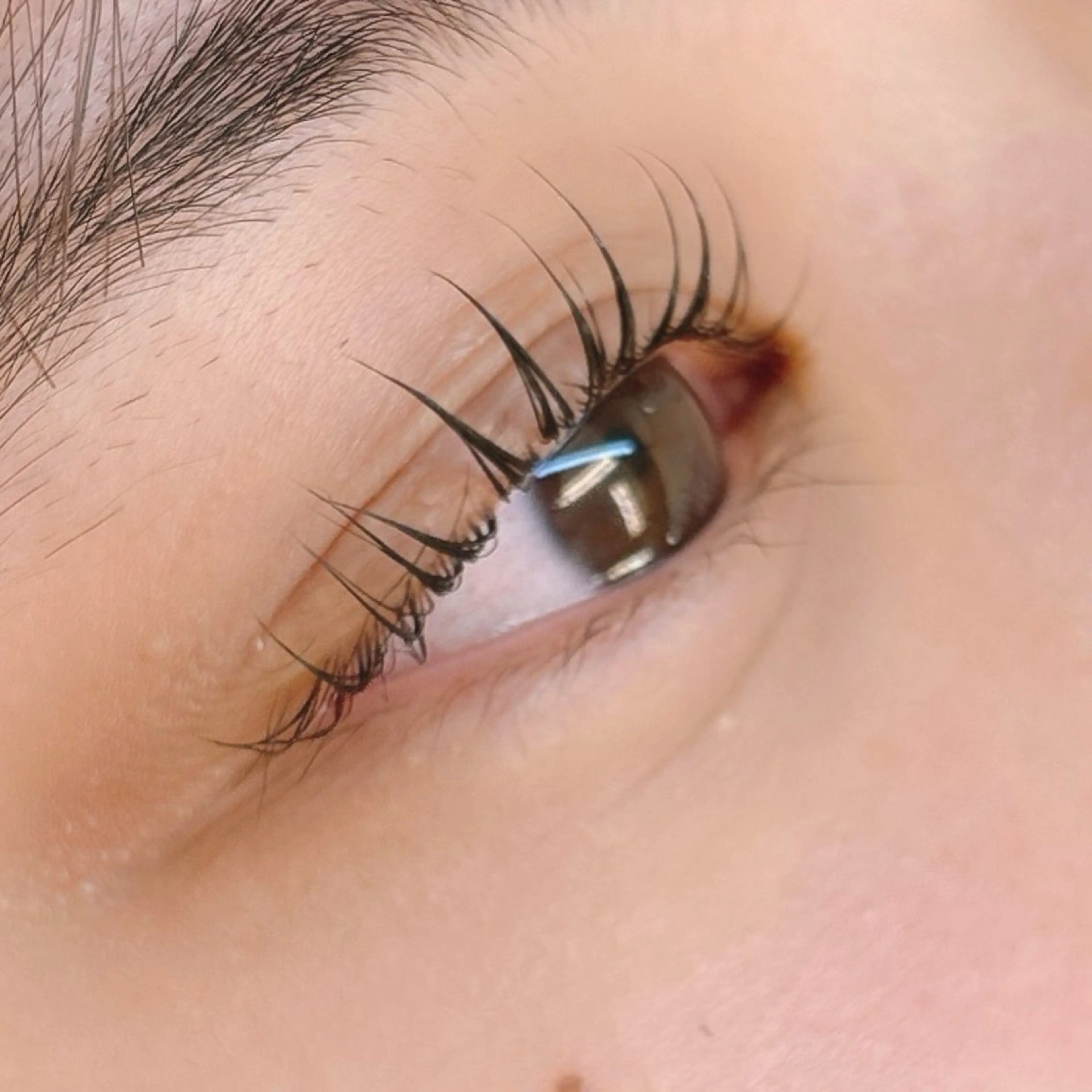 高持続❤️毛質改善❤️うる艶トリートメントまつげパーマ+コーティング仕上げの写真