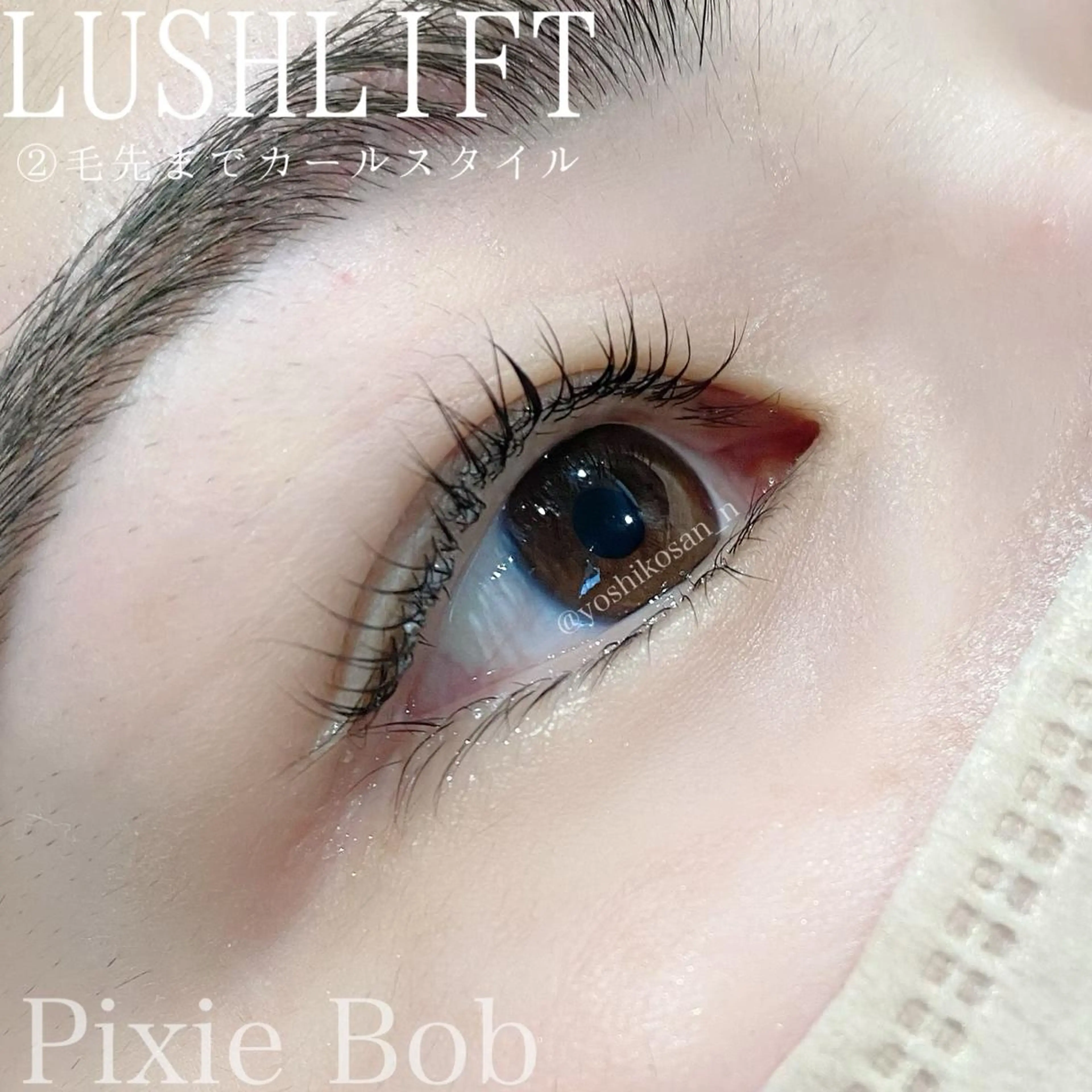 マツエク・マツパ Pixie Bob 🐈‍⬛　位田のマツエク・マツパデザイン