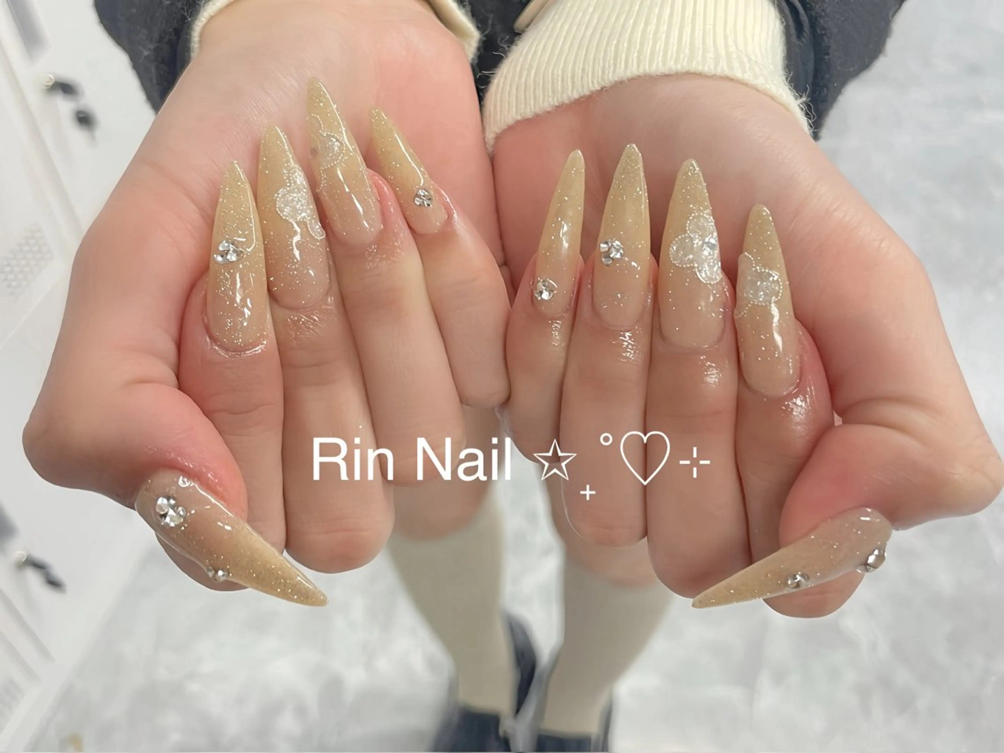 ネイル アートネイル チークネイル ジェルネイル ロングネイル マグネットネイル ハンドネイル Rin Nail 新大久保店のネイルデザイン