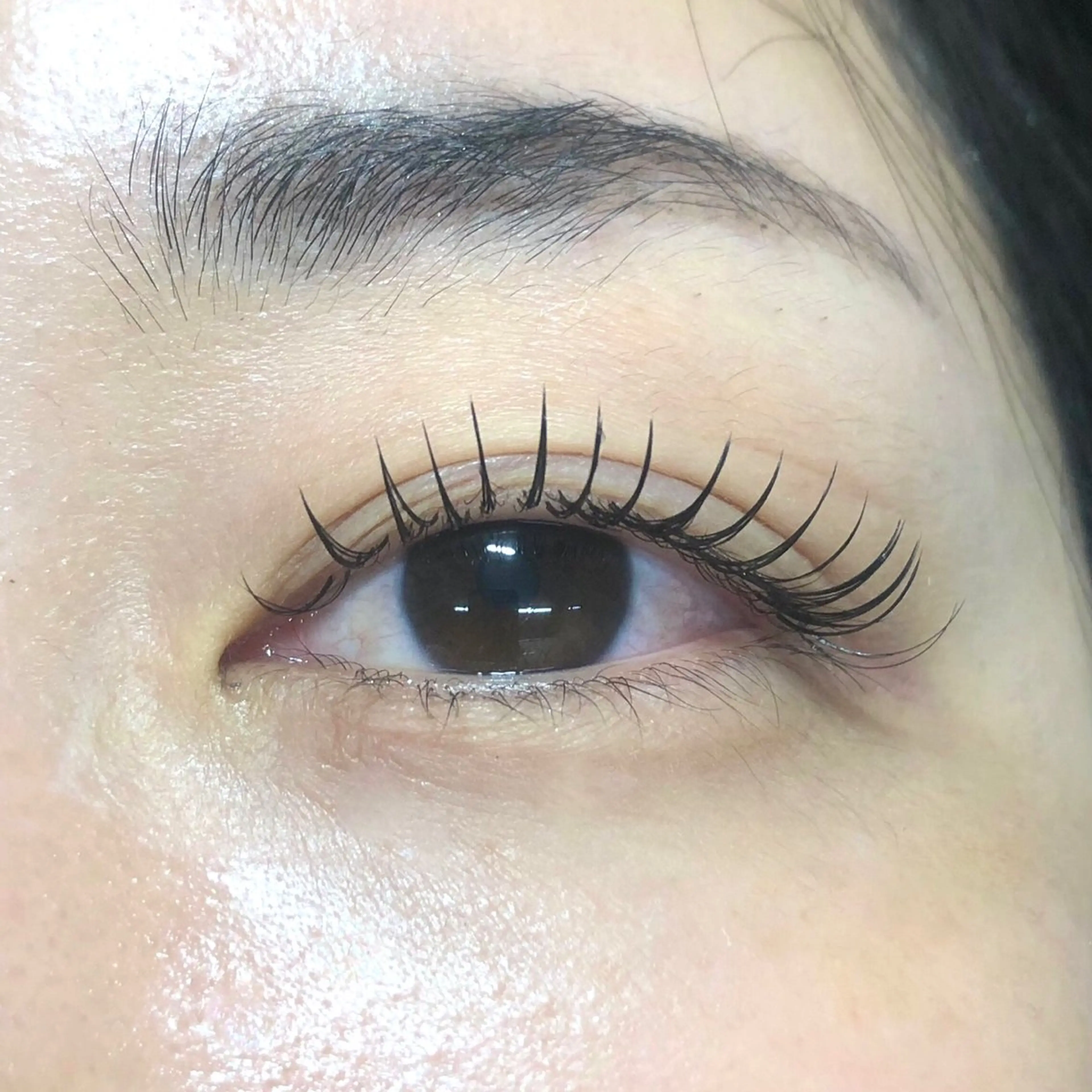 フラットマットラッシュ　80本の写真