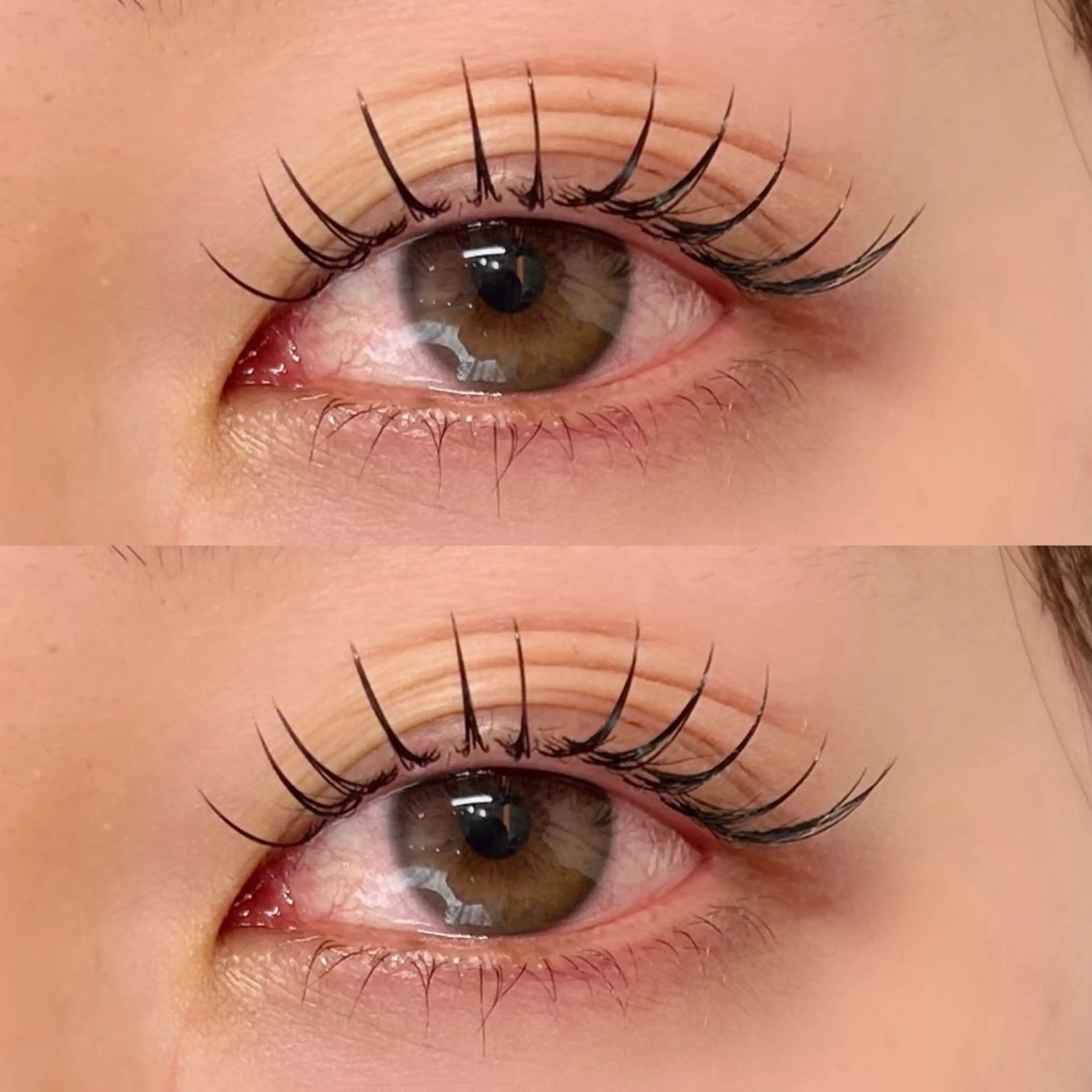 🫧持続力◎【LEDエクステ】120本　アイシャンプー付の写真