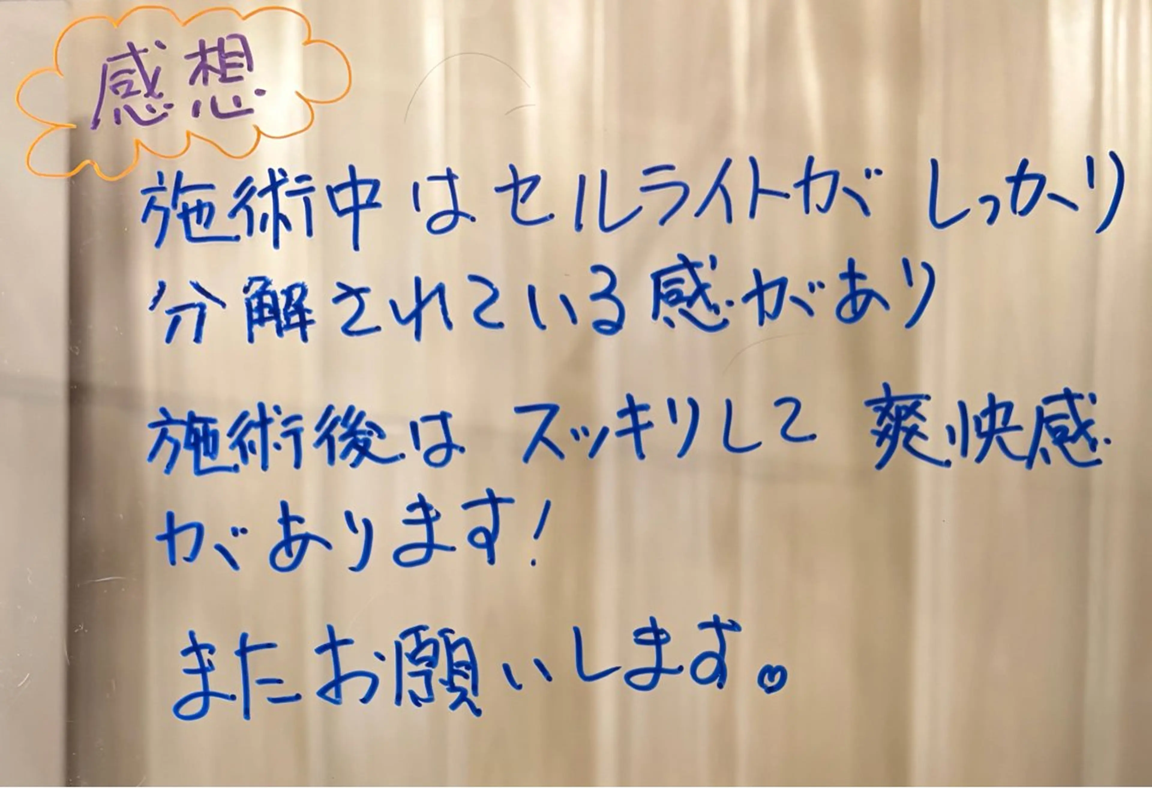 ビューティーサロンルシア所属・エステサロン lucia豊明のエステ・リラクイメージ