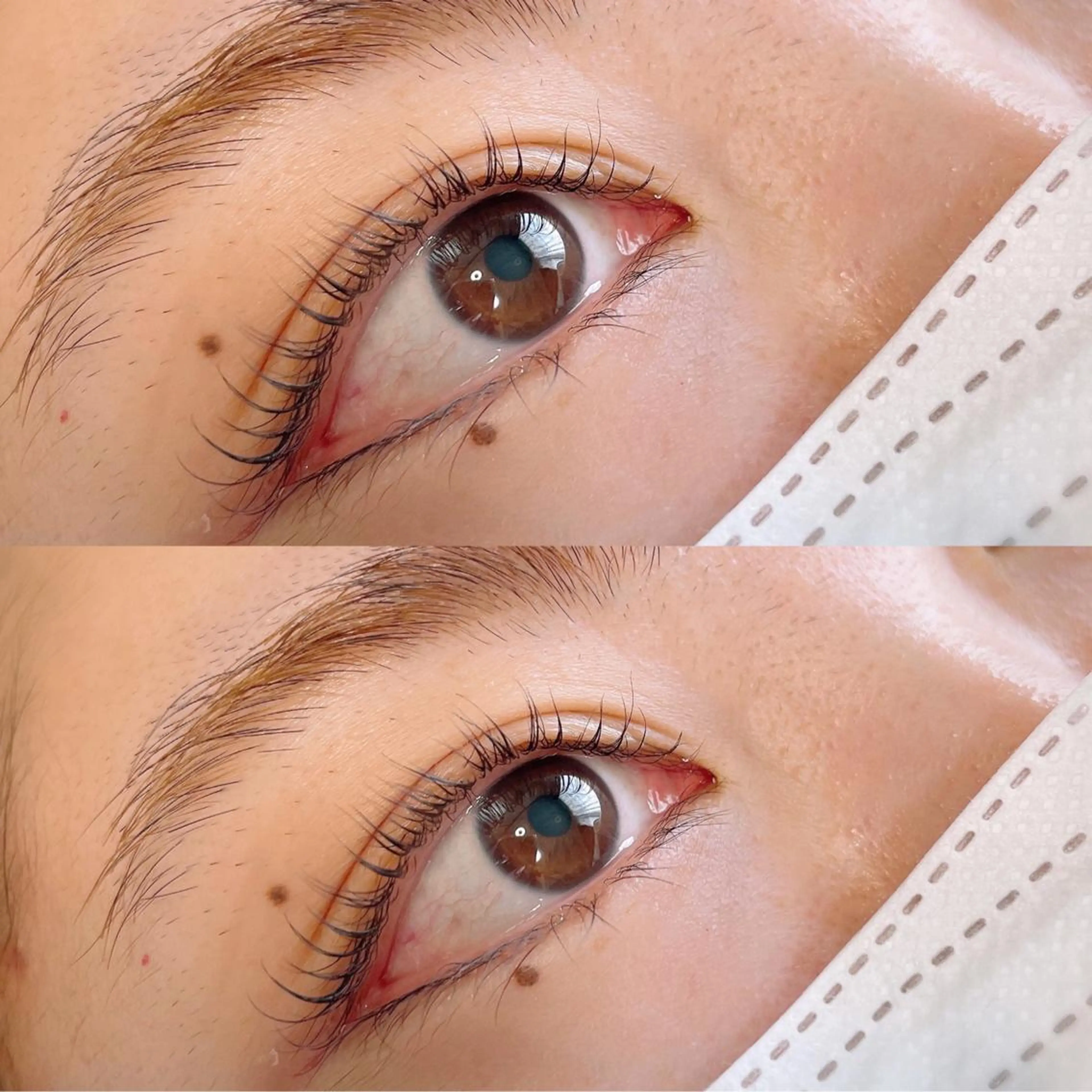 【SNSで話題】minimo限定価格🌈ラッシュリフト🌸コーティング付きの写真