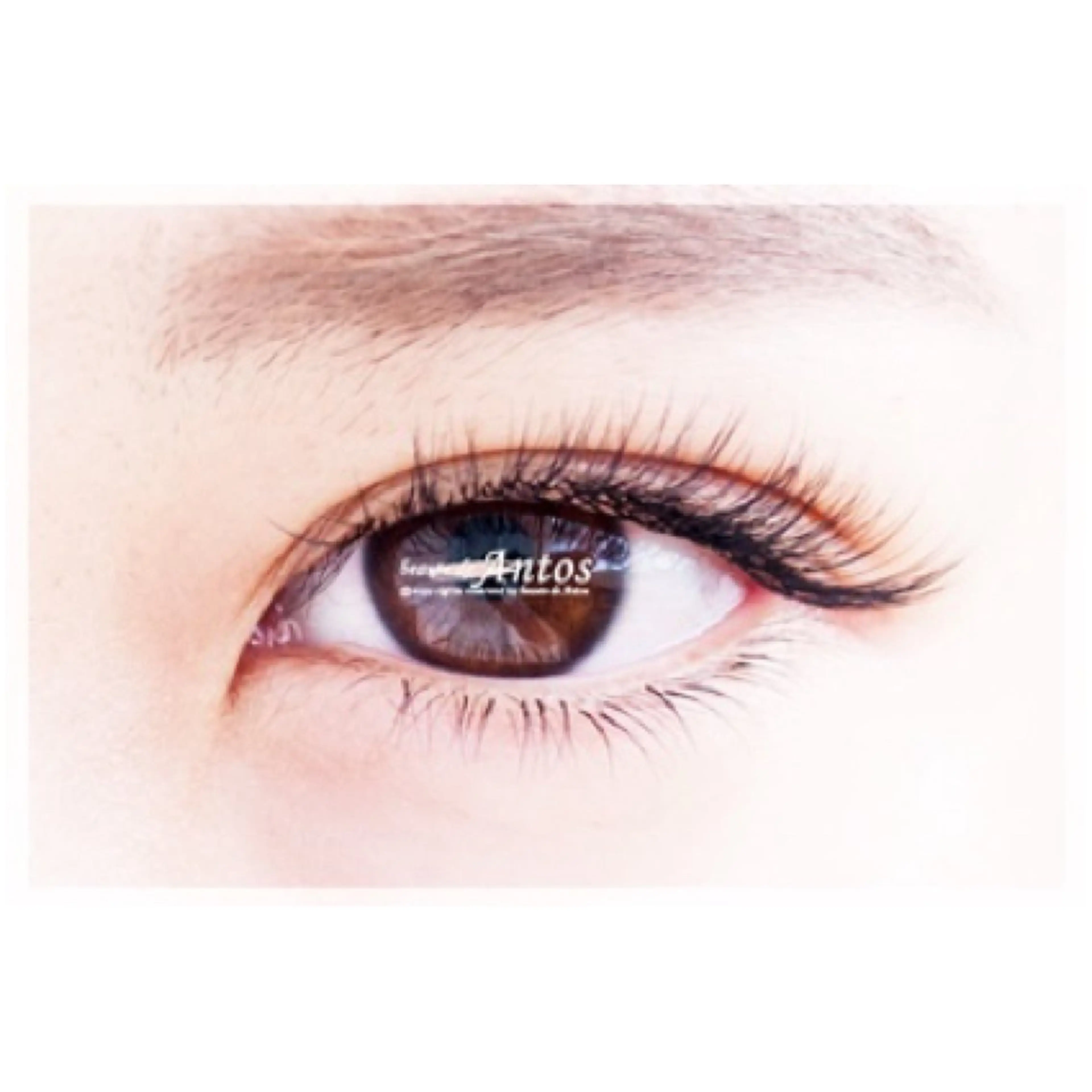 マツエク・マツパ ボリュームラッシュ マツエク まつげ&眉の専門店 アントススタッフの眉毛・アイブロウイメージ